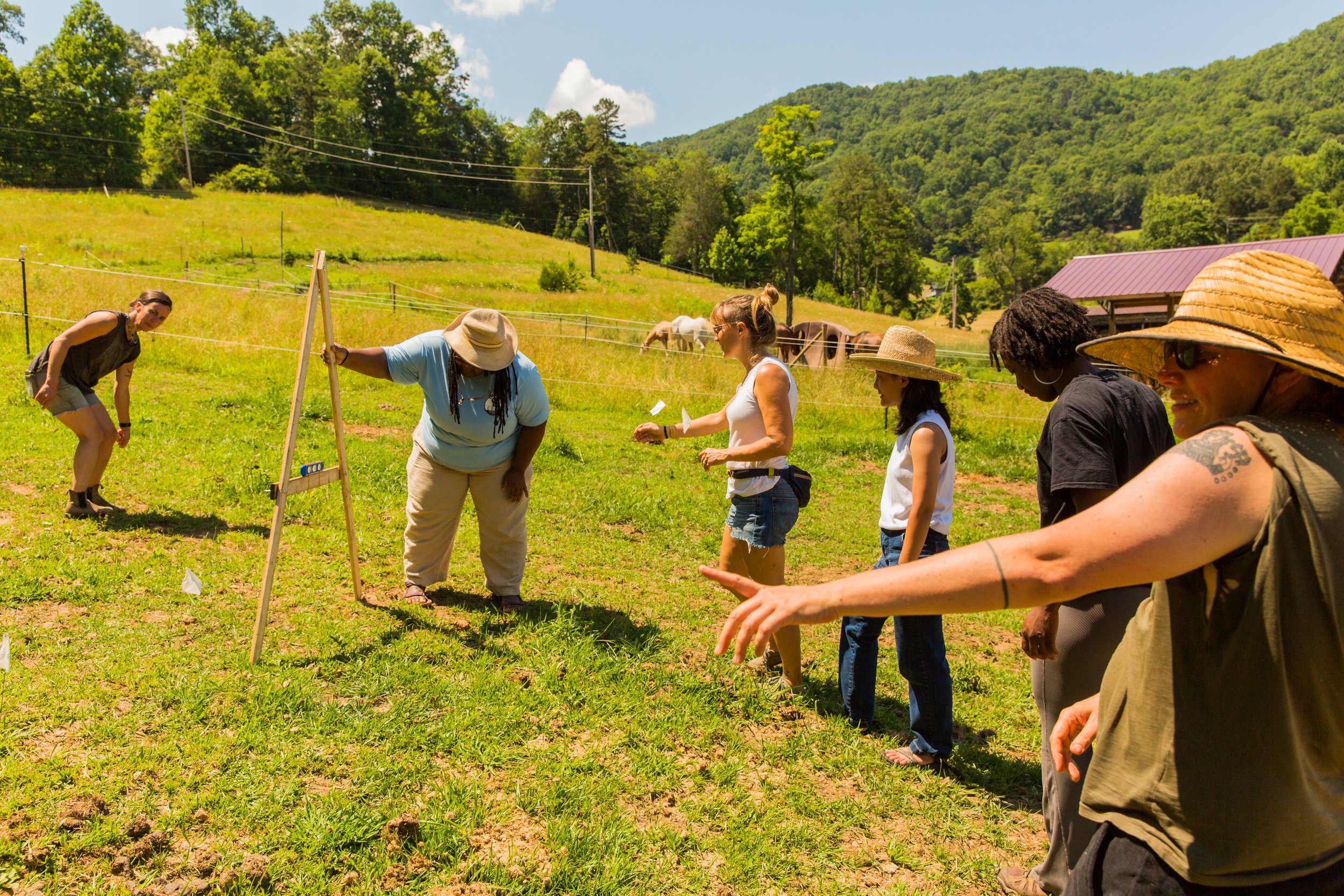 Group of diverse people participating in an outdoor planting activity on a sunny day, with rolling green hills and trees in the background.