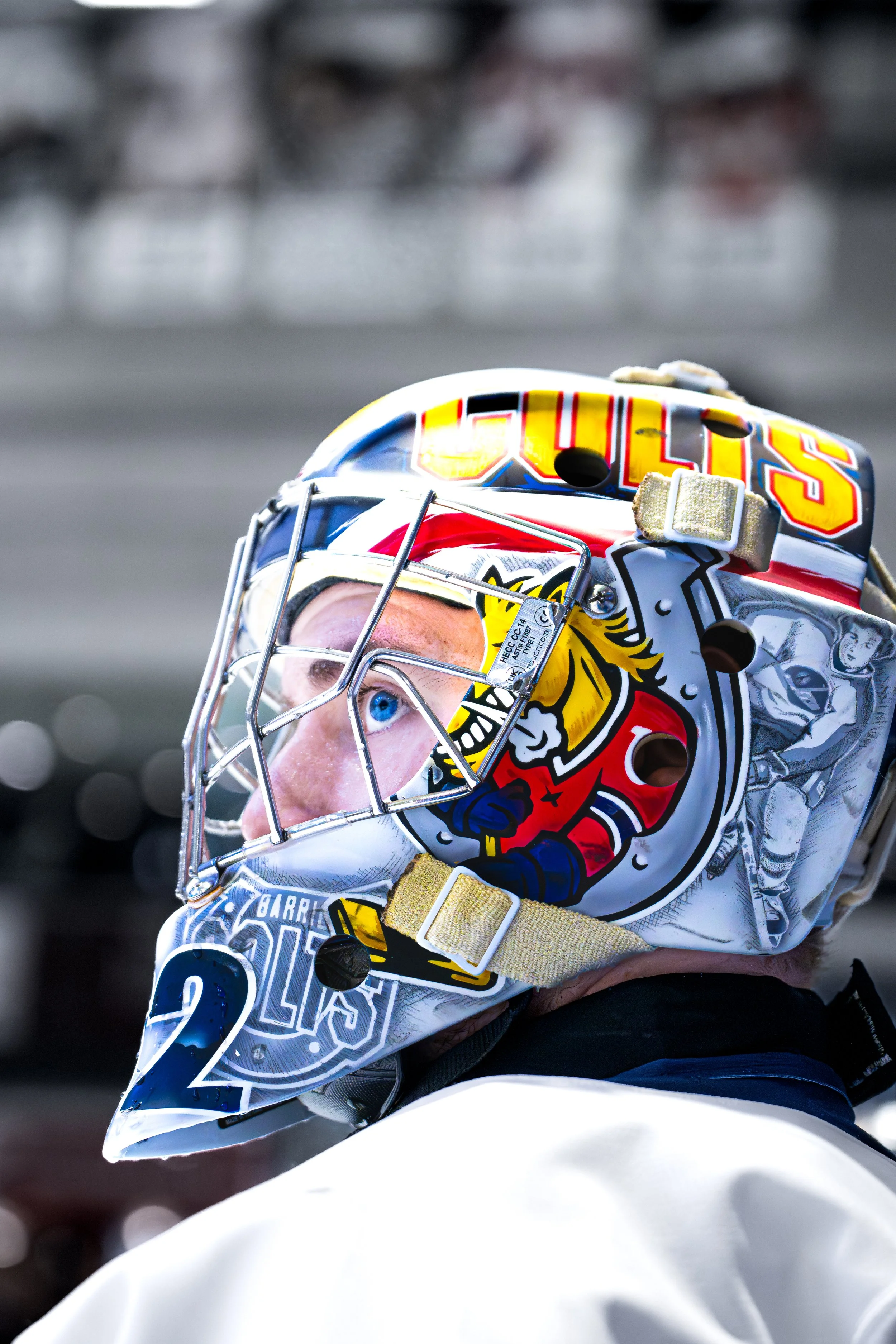A hockey goalie wearing a helmet with colorful artwork, including a fierce animal and the words "Gulls" and "2", with a yellow chin strap and a cage over the face. The background is blurred.