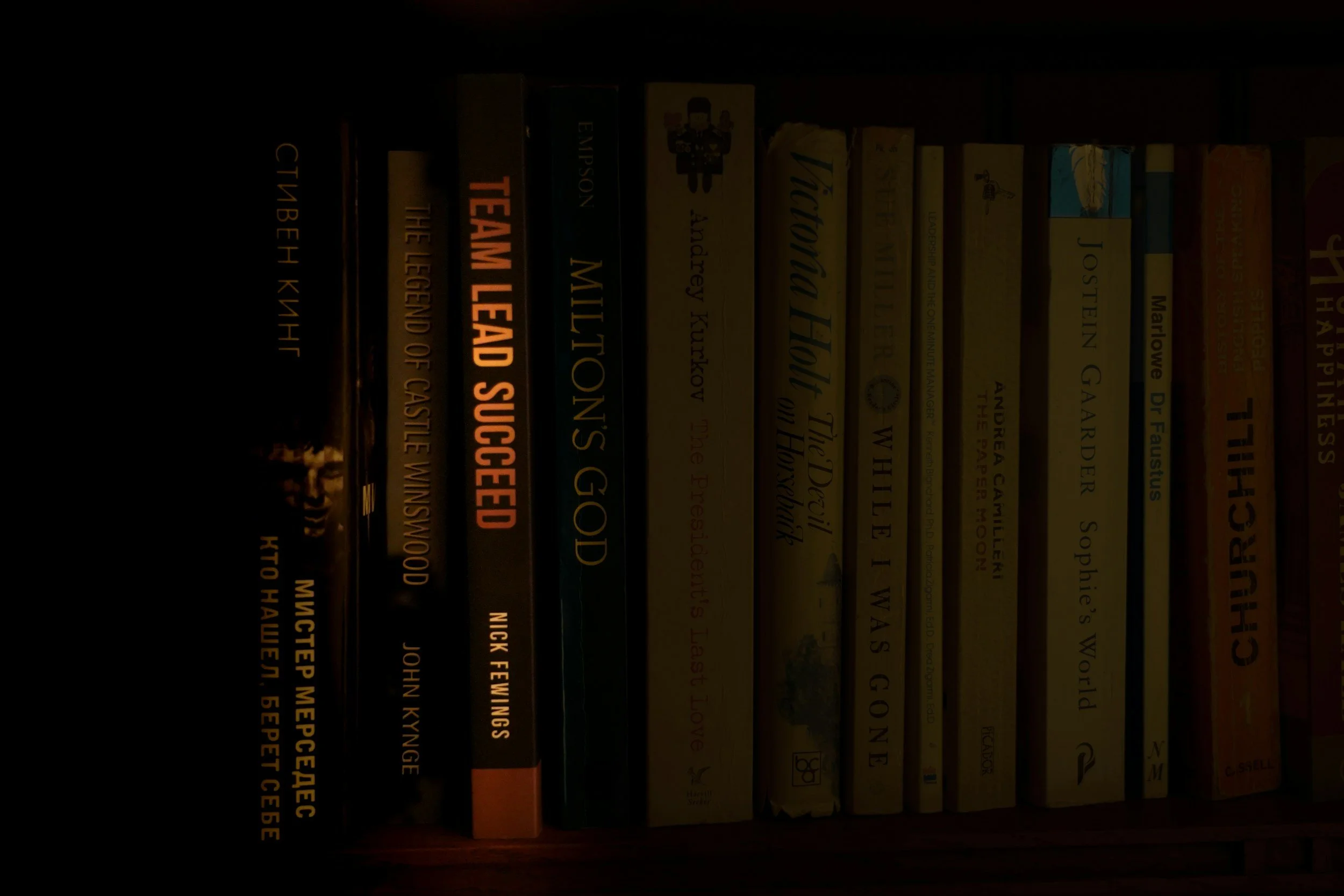 Close-up image of a row of books on a dark bookshelf, with titles including 'The Legend of Castle Witch', 'Team Lead Success', and 'Nick Fewings'.