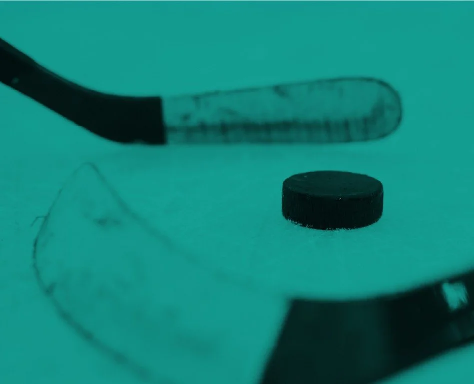 Hockey stick and puck