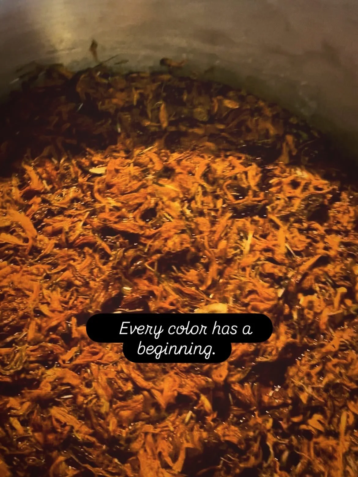 This experiment began with a handful of marigold flowers.

As the petals slowly released their color, I found myself watching more than a dye bath. I caught my reflection in the surface&mdash;a reminder that every creative process transforms the make