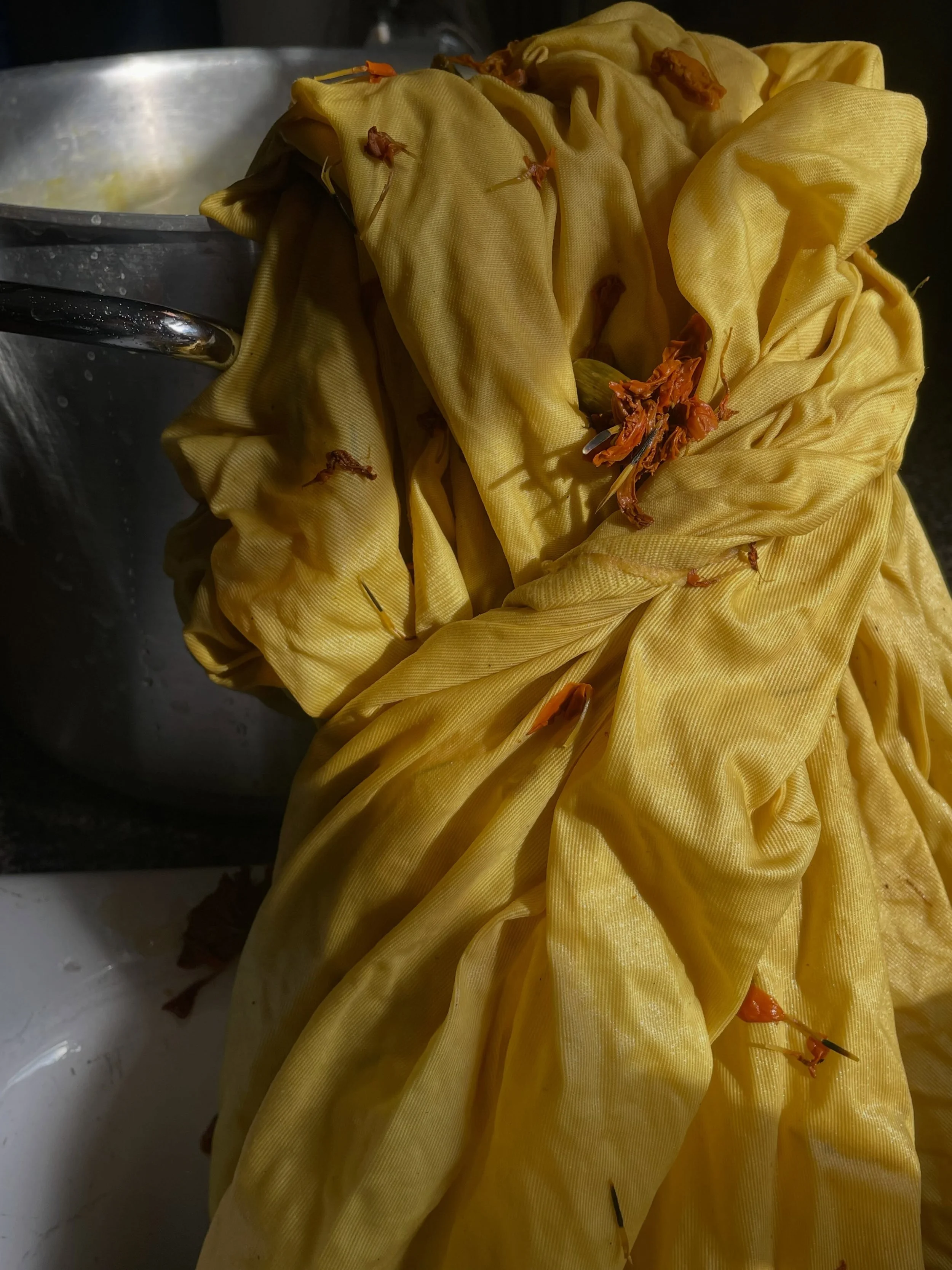 I&rsquo;m so proud of how this cotton twill turned out. I cotton and plant fibers are not easy to naturally dye. But this&hellip;. Omg! So grateful! I prepped this fabric over the summer. Waiting for the inspiration to come on what to do with this fa