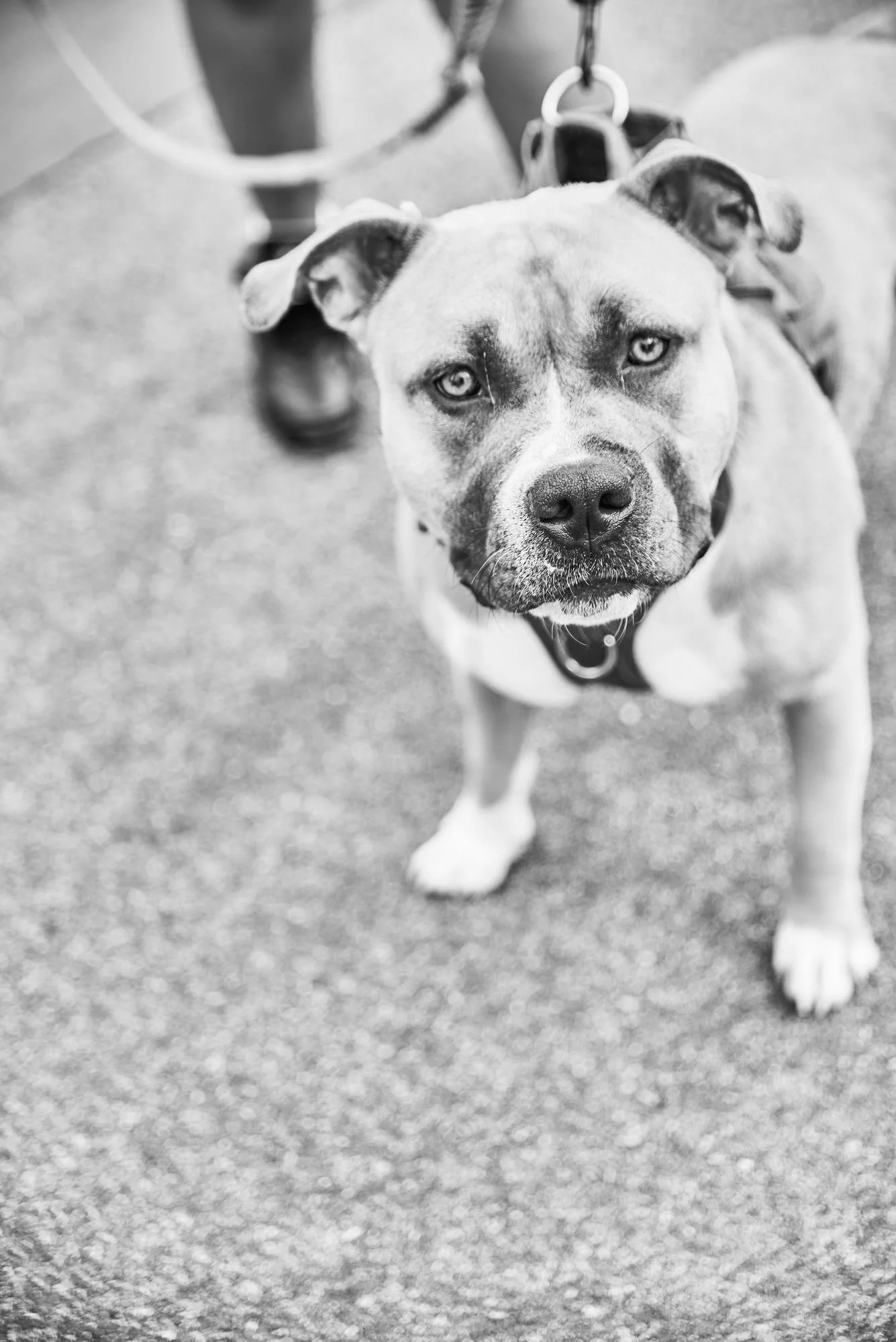 Bball - Image 13.jpg