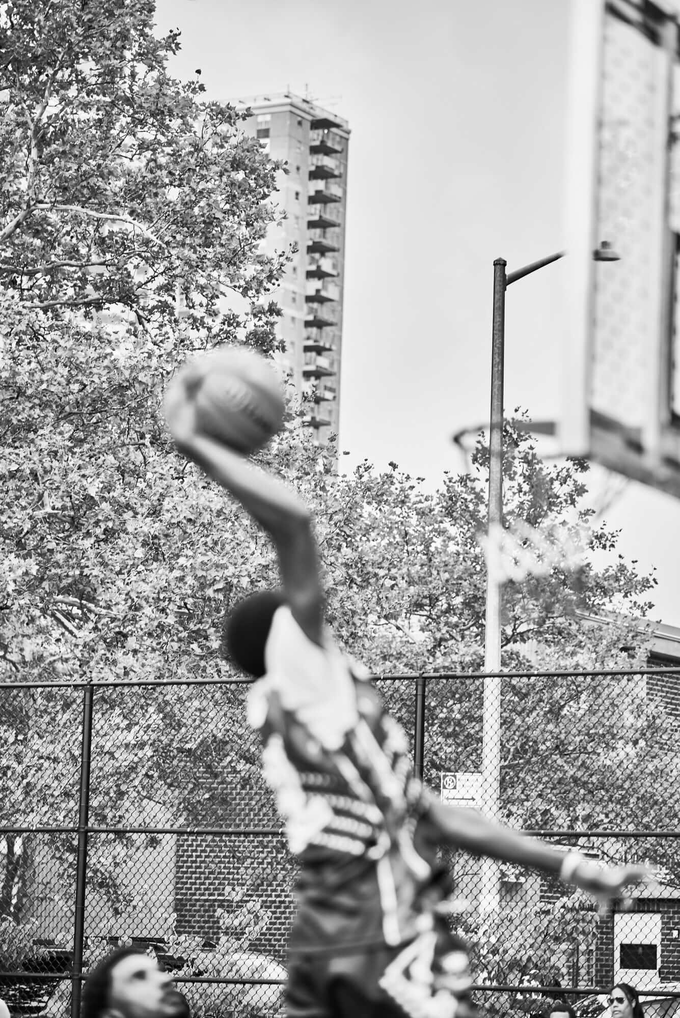 Bball - Image 14.jpg