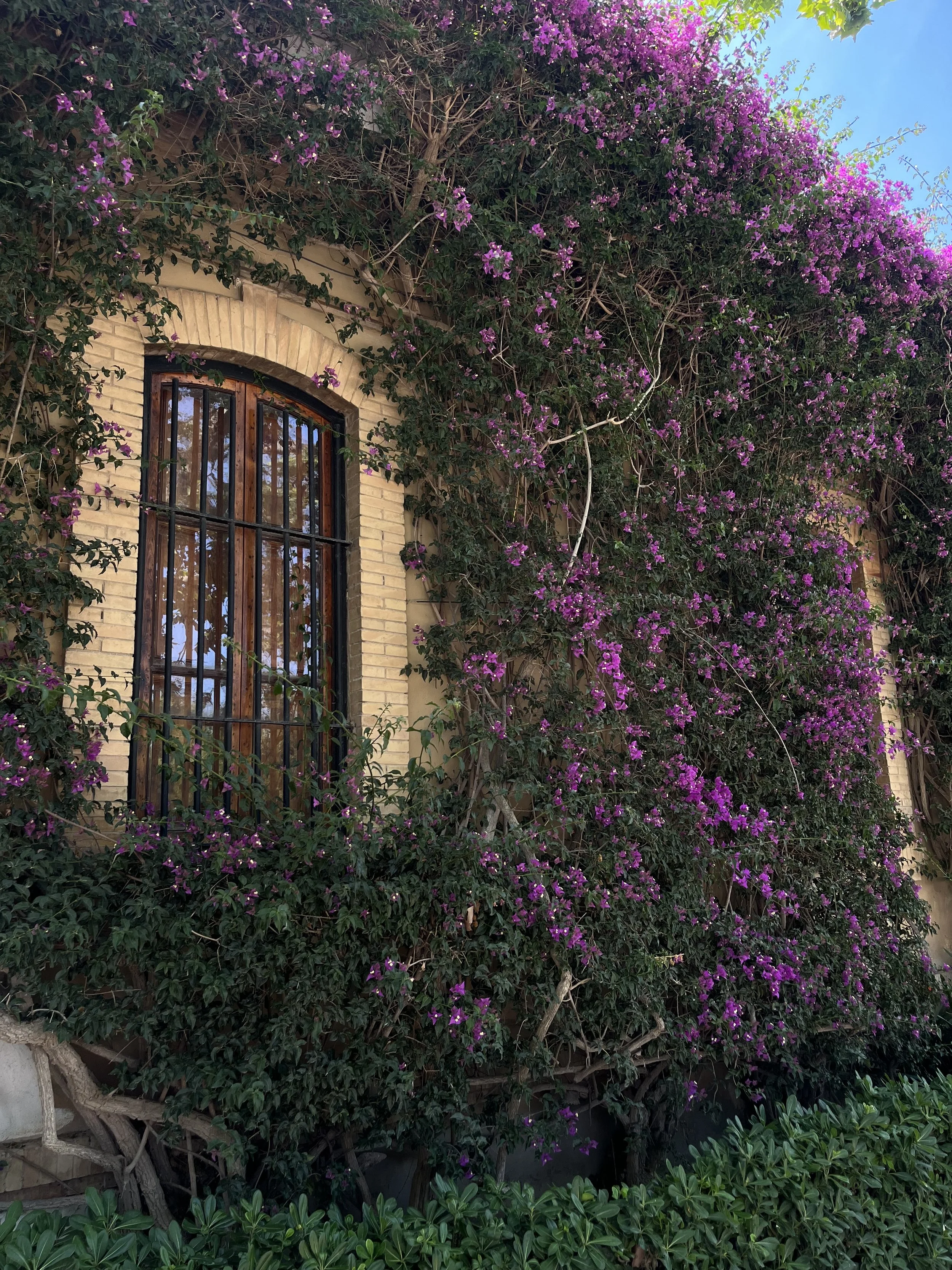 Jardin de Monforte, garden in Valencia Centre
