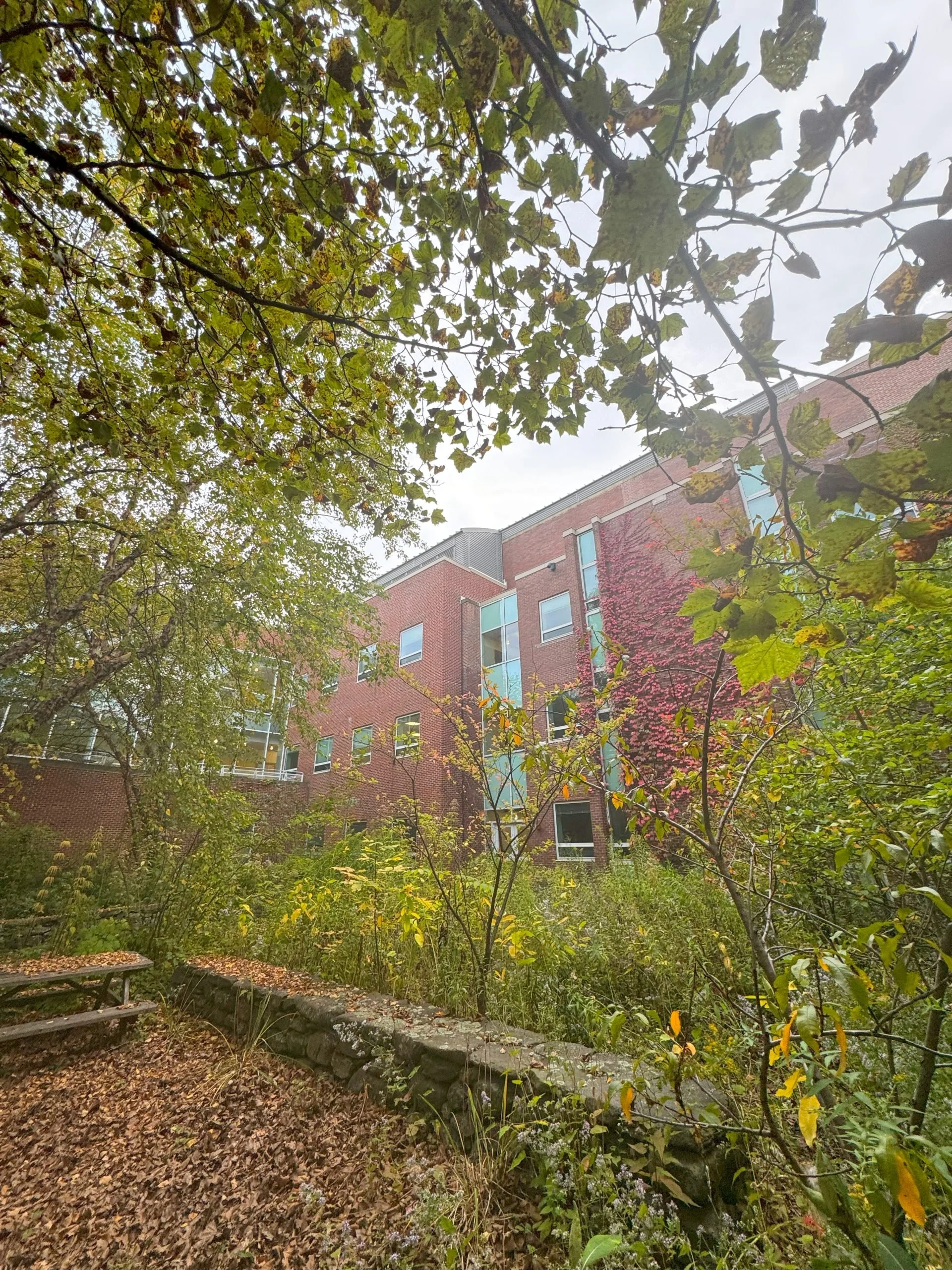 Creating a ‘third space’ in the science center garden