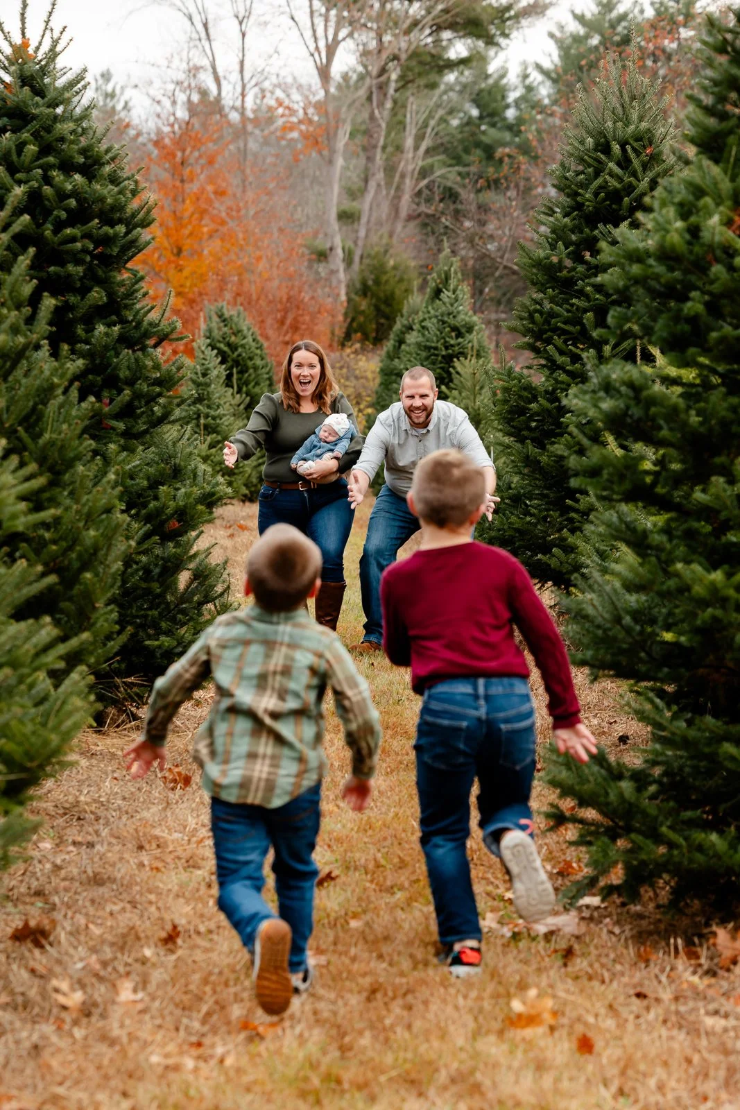 Family celebrating Christmas at a tree farm, with two children running towards two adults and a baby in the woman's arms amidst rows of evergreen trees, autumn trees in the background.