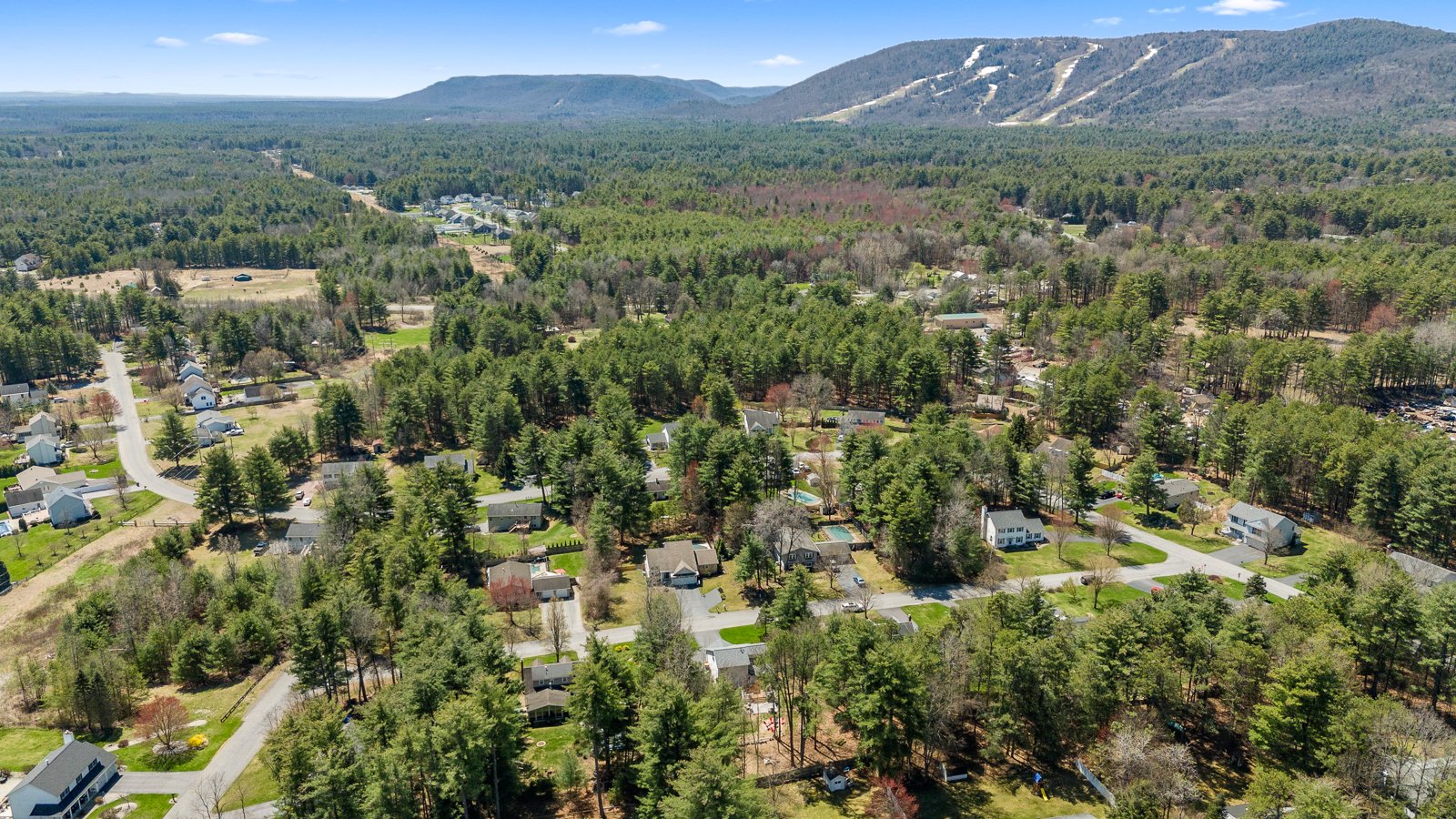 Aerial view of a residential neighborhood surrounded by trees with mountains in the distance under a blue sky