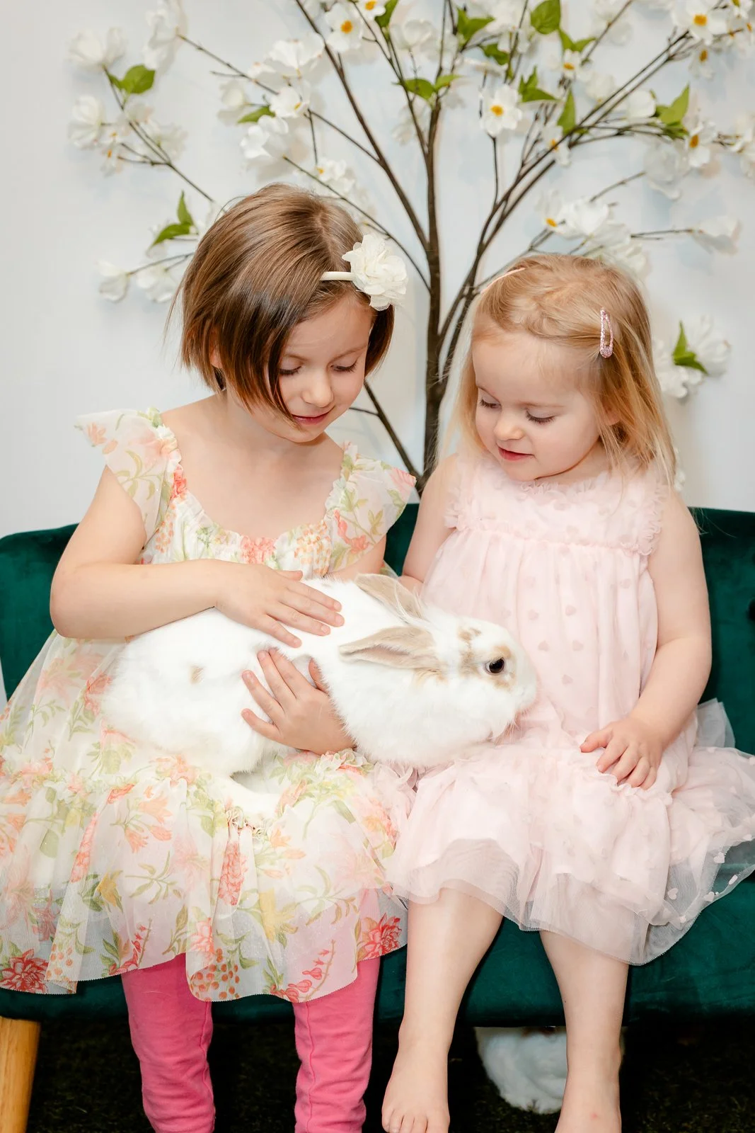 Two young girls in pastel dresses sitting on a green couch, gently petting a white rabbit with brown spots, with a white floral backdrop behind them.