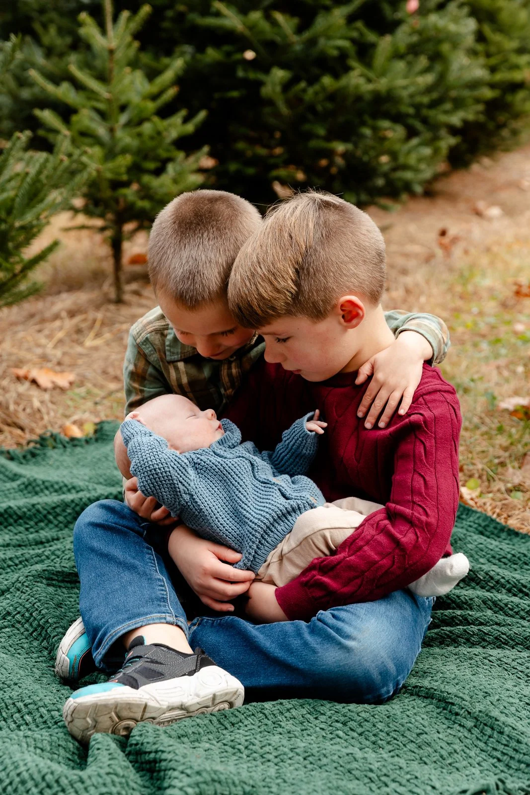 Two young boys, one wearing a green plaid shirt and the other a red sweater, sit outside on a green blanket embracing two babies, one dressed in a blue sweater and khaki shorts, with a background of Christmas trees.