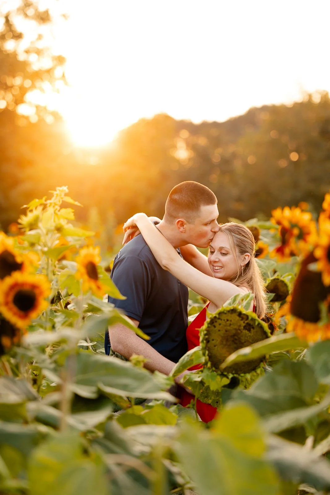 A couple sharing a kiss in a sunflower field during sunset.