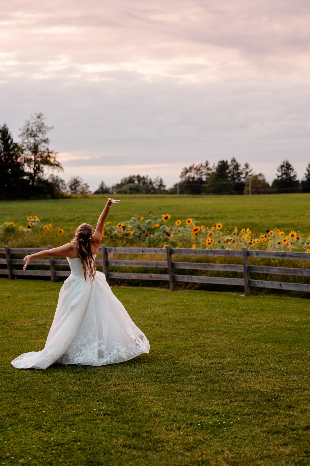A woman in a white wedding dress dancing outdoors on a green lawn with a wooden fence and a field of yellow sunflowers in the background during sunset.