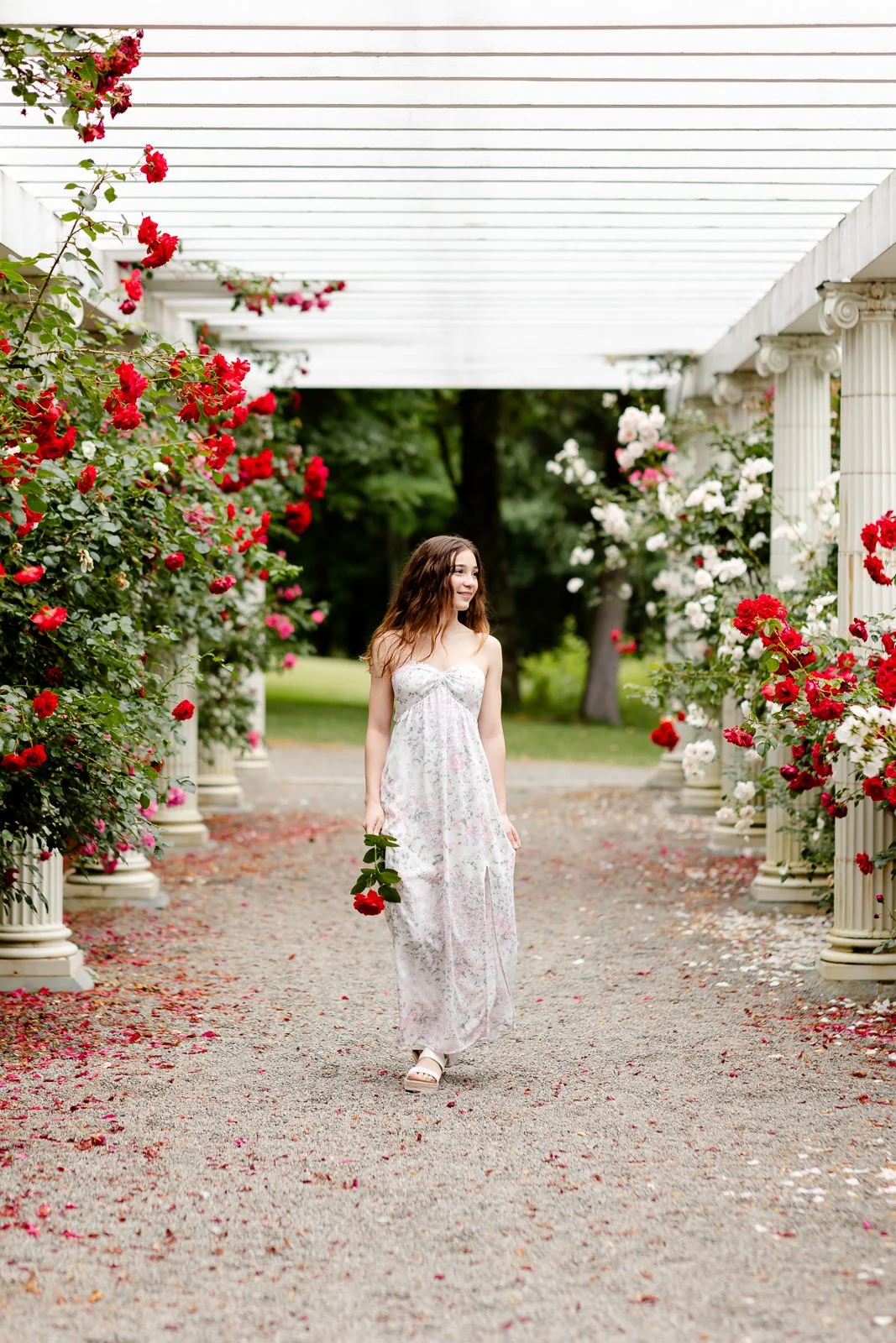 A young woman in a floral dress walking through a garden with white columns and pink, red, and white roses, holding a single rose in her hand.