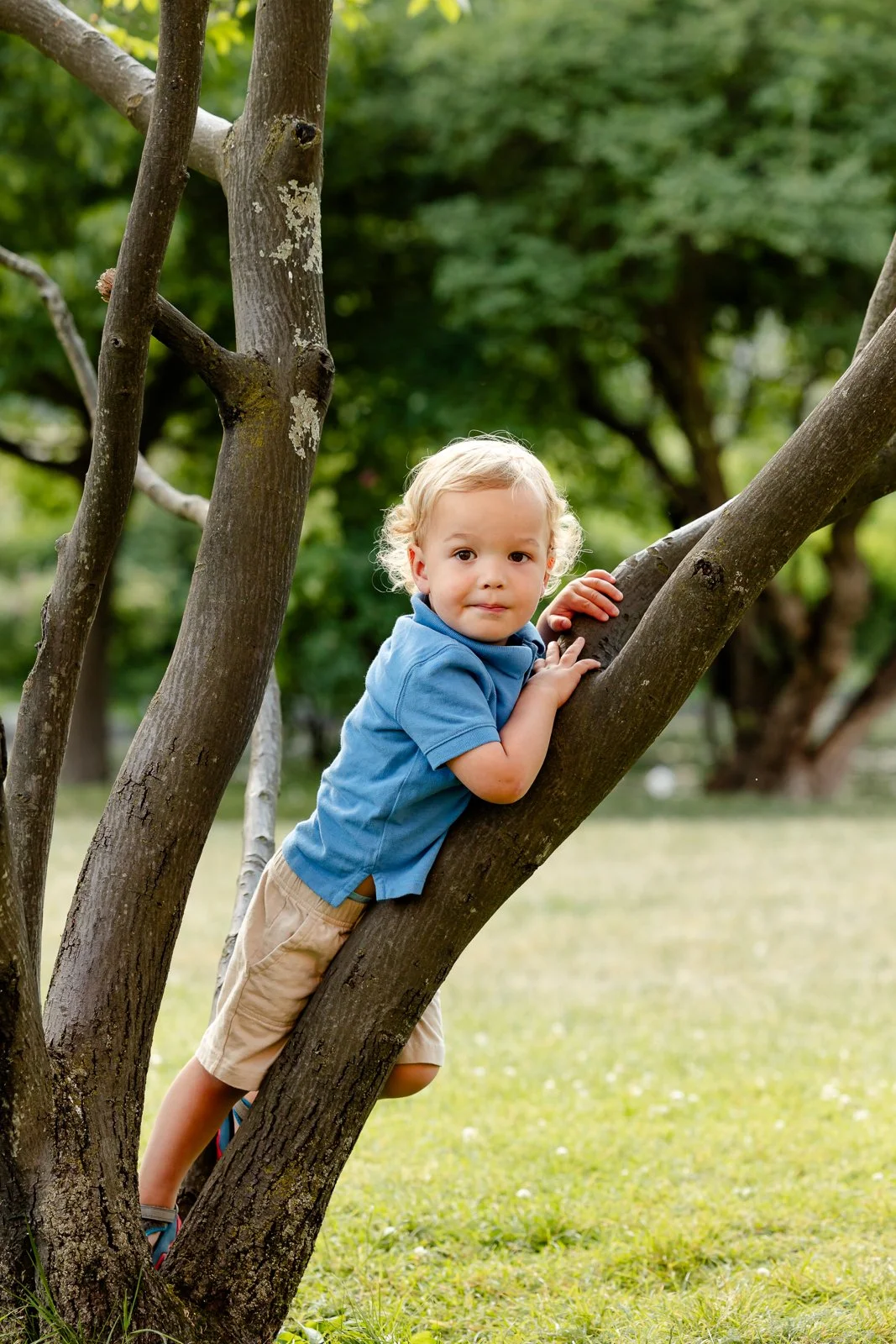 Young child climbing a tree outdoors in a park, with green foliage in the background.