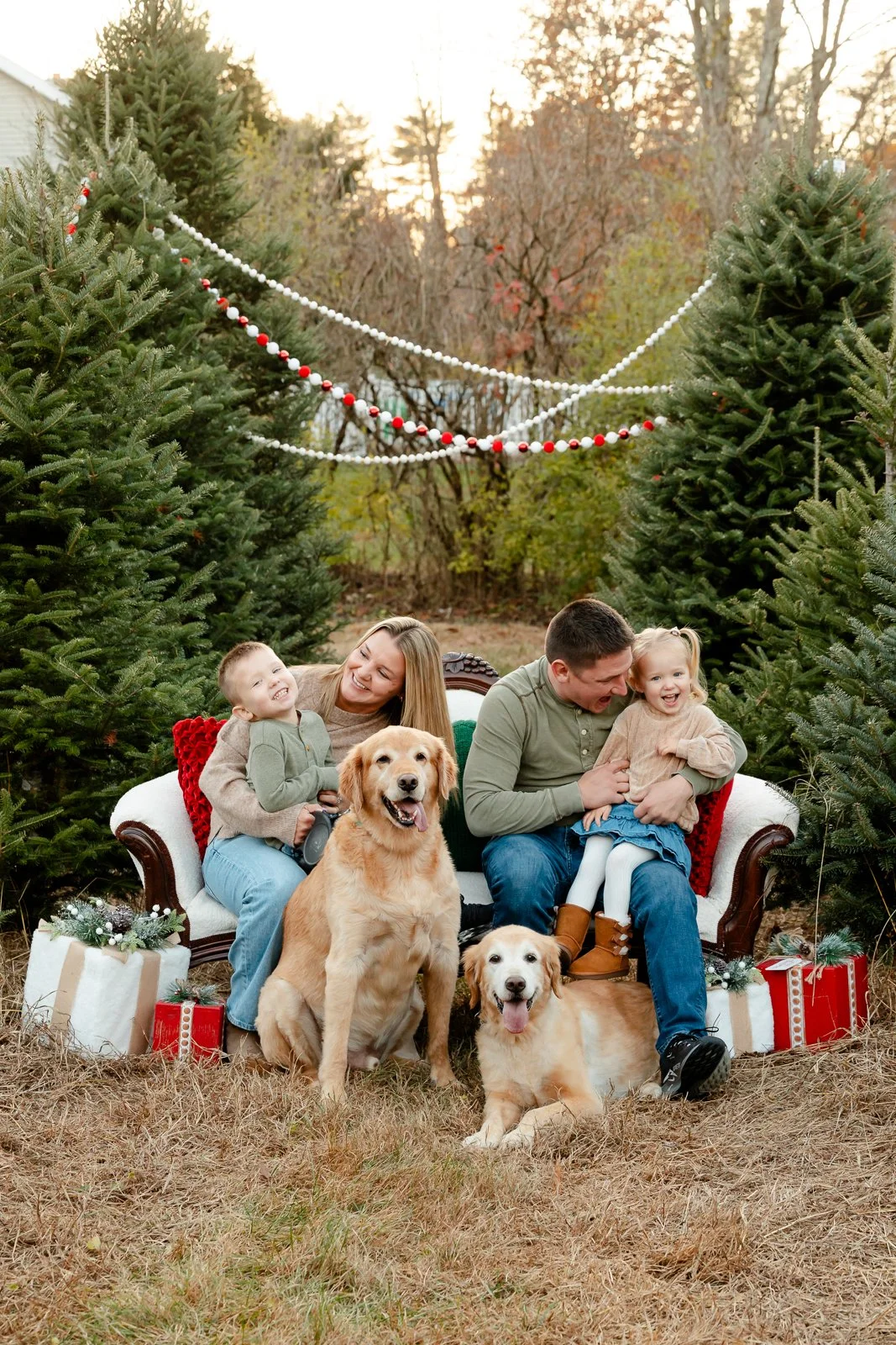 A family of four, two adults and two children, sitting on a holiday-themed outdoor sofa with two golden retrievers. The scene is decorated with Christmas trees, gift boxes, and festive garlands, taking place outdoors in a yard at sunset.