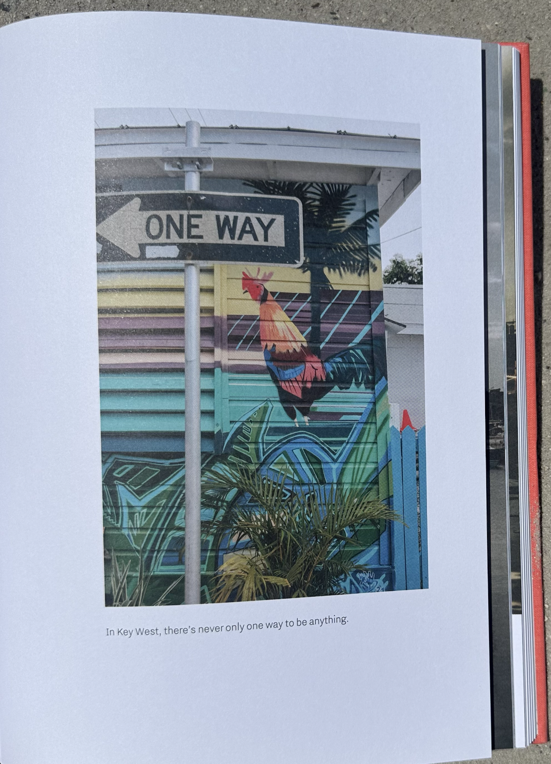 Screenshot 2026-03-03 at 3.07.15 PM.png