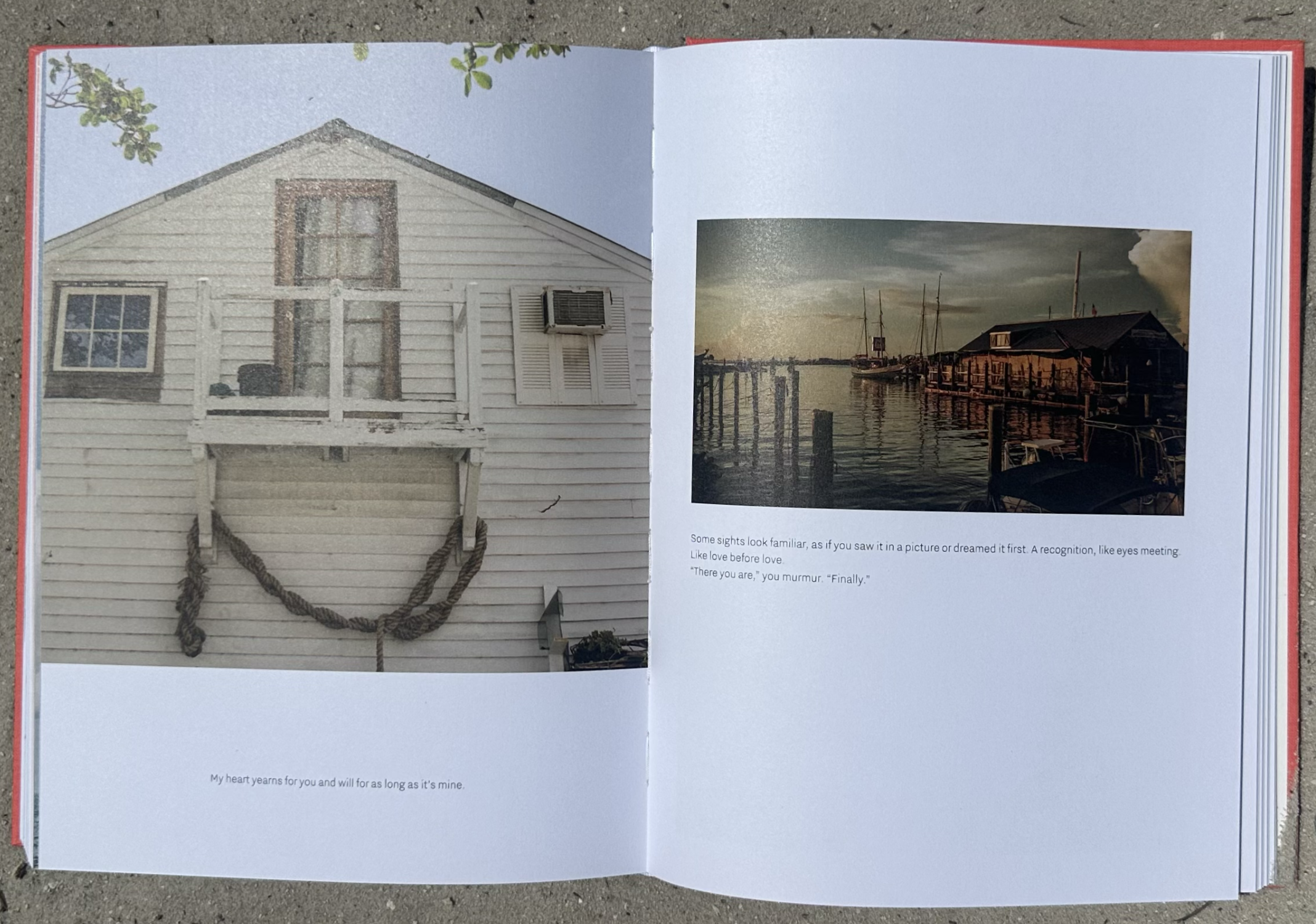 Screenshot 2026-03-03 at 3.07.59 PM.png