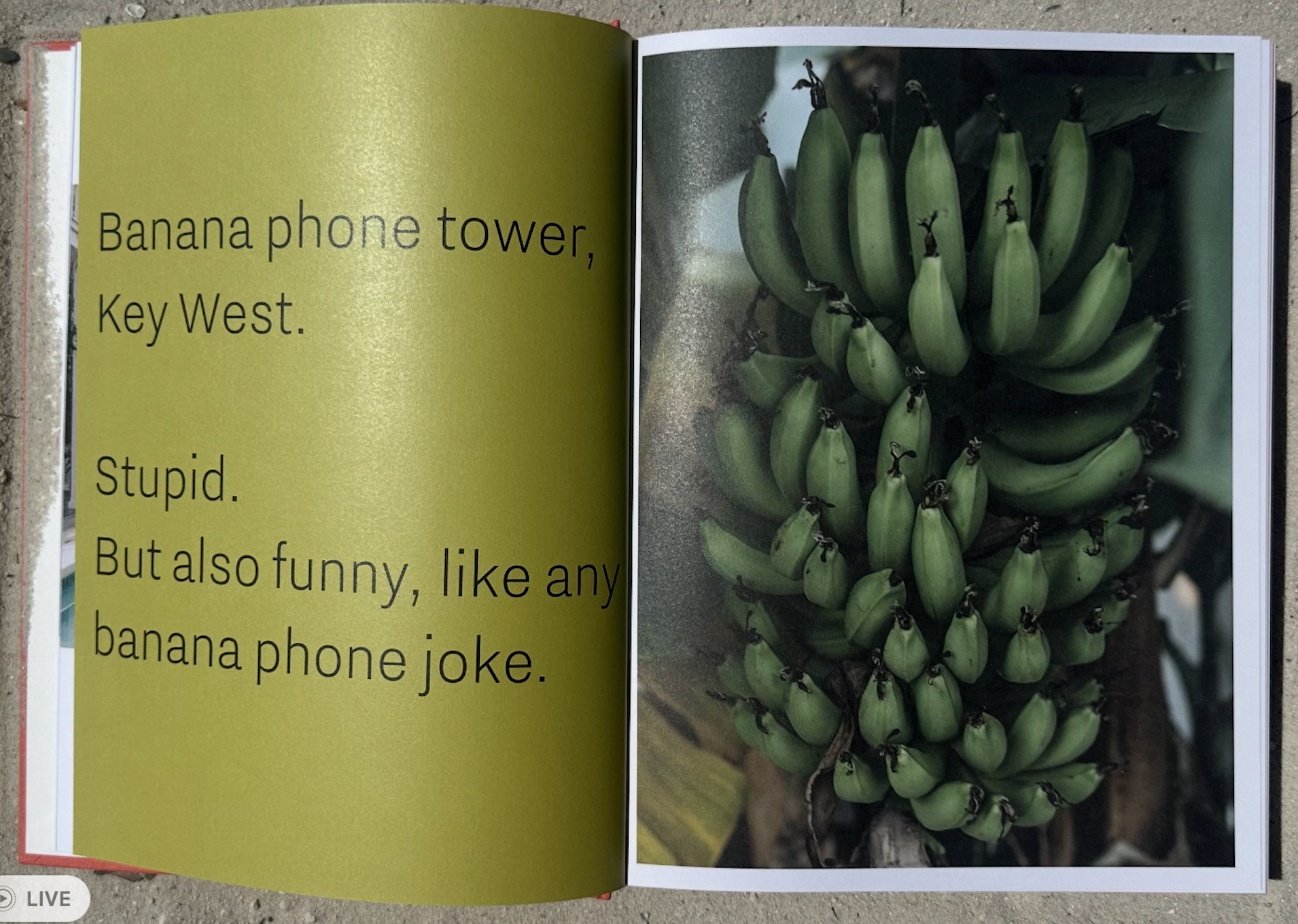 Screenshot 2026-03-03 at 3.05.40 PM.png