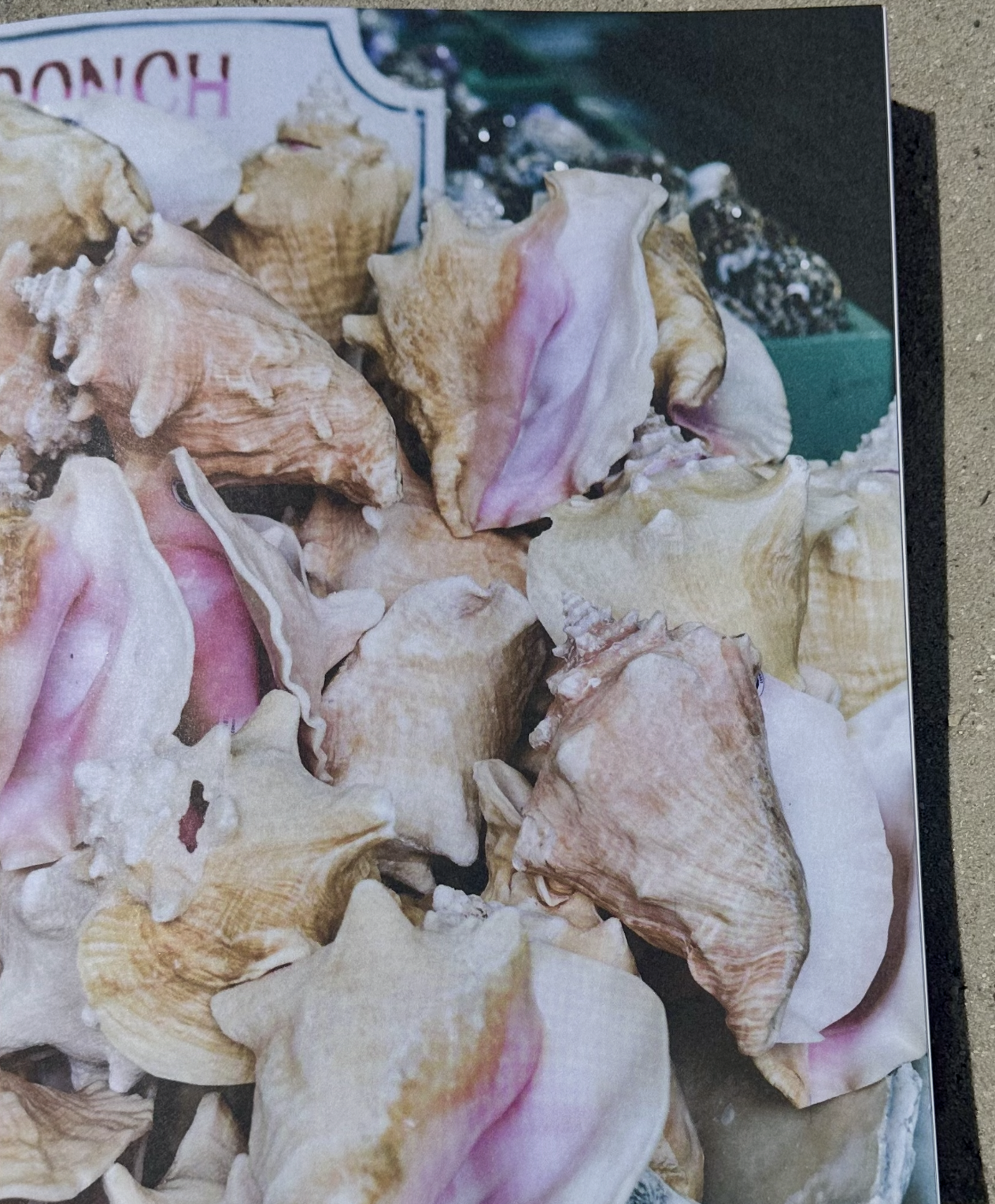 Screenshot 2026-03-03 at 3.07.36 PM.png