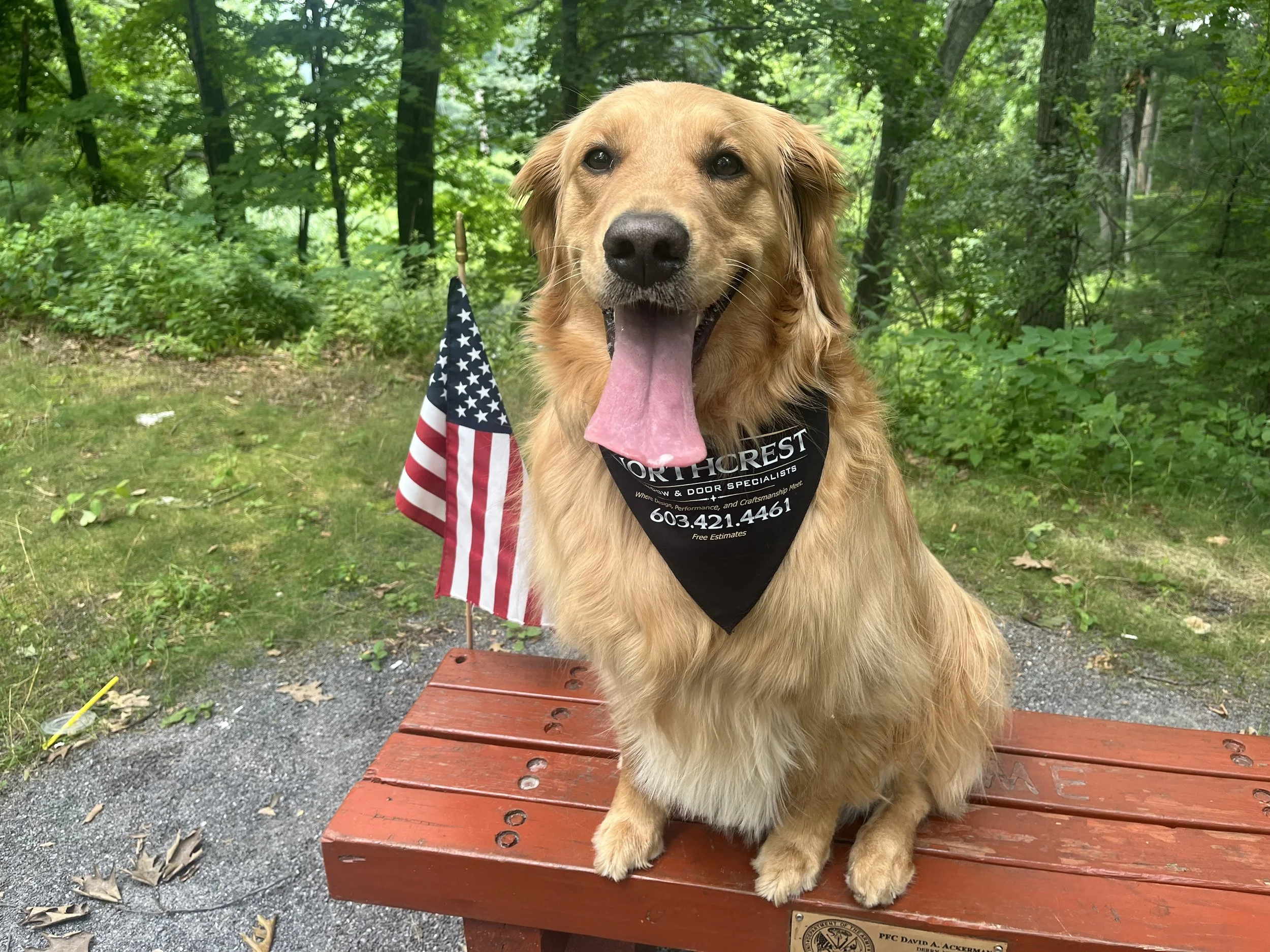 Margot, the golden retriever and unofficial mascot of Northcrest Window & Door Specialists
