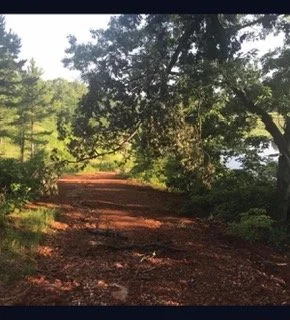 Trail.jpg