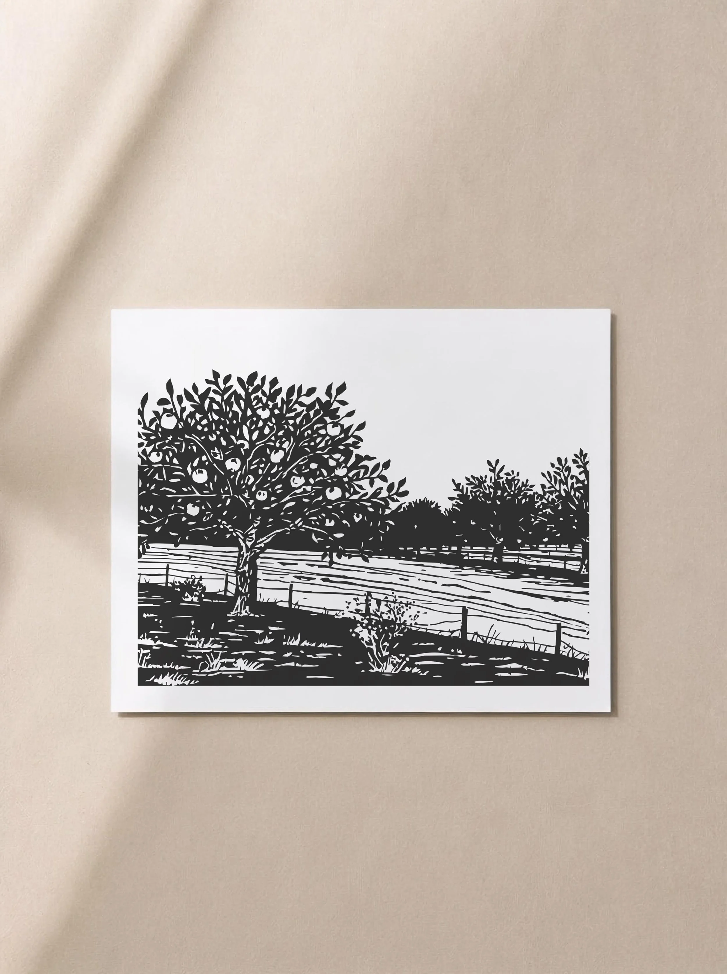 CoveAndLaneStudio_AP10X8-45_A@2x.jpg