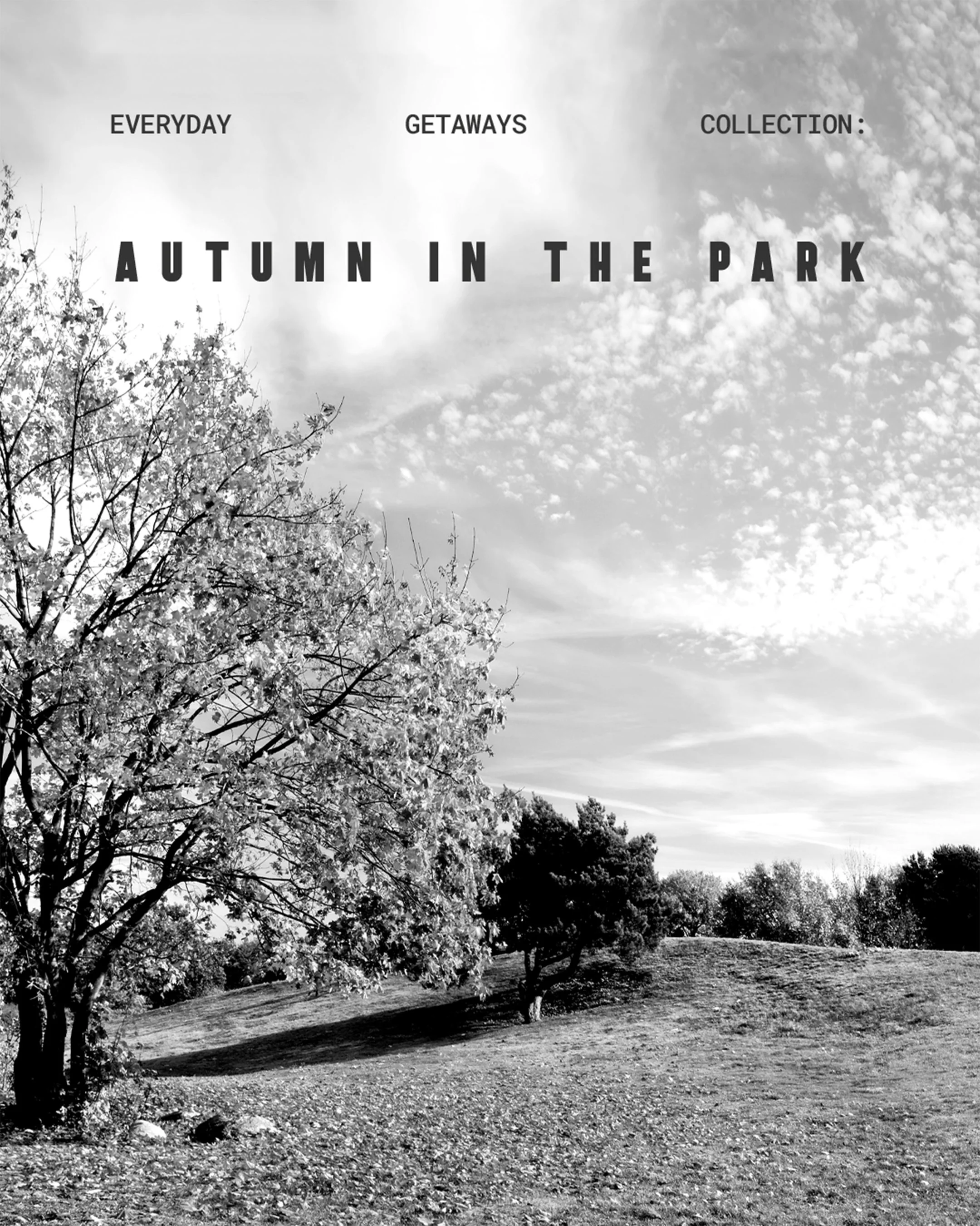 CoveAndLaneStudio_Social_EverydayGetaways_AutumnInThePark_Intro@2x.jpg