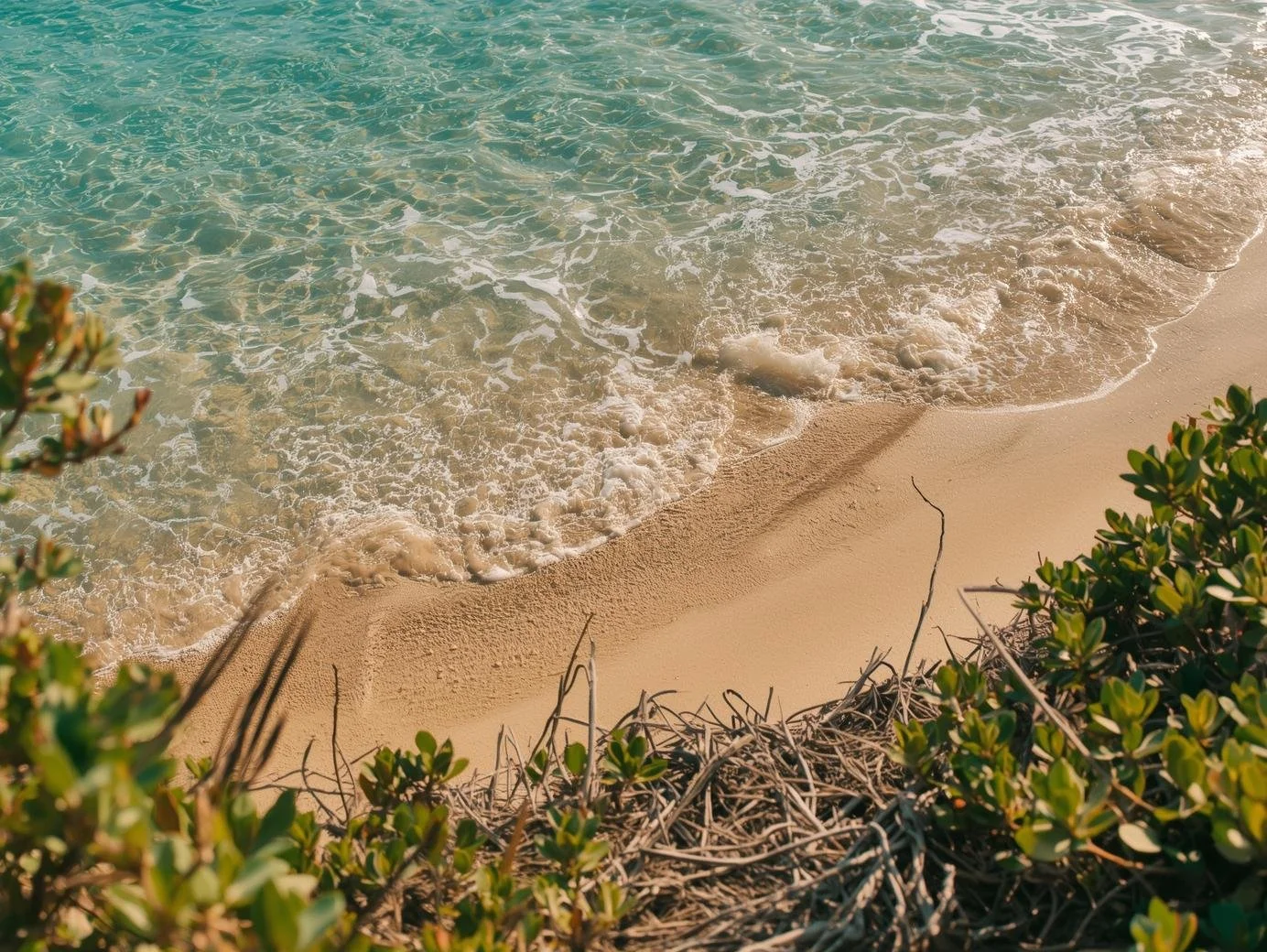 beachside lifestyle environmental detail photography (1).jpg