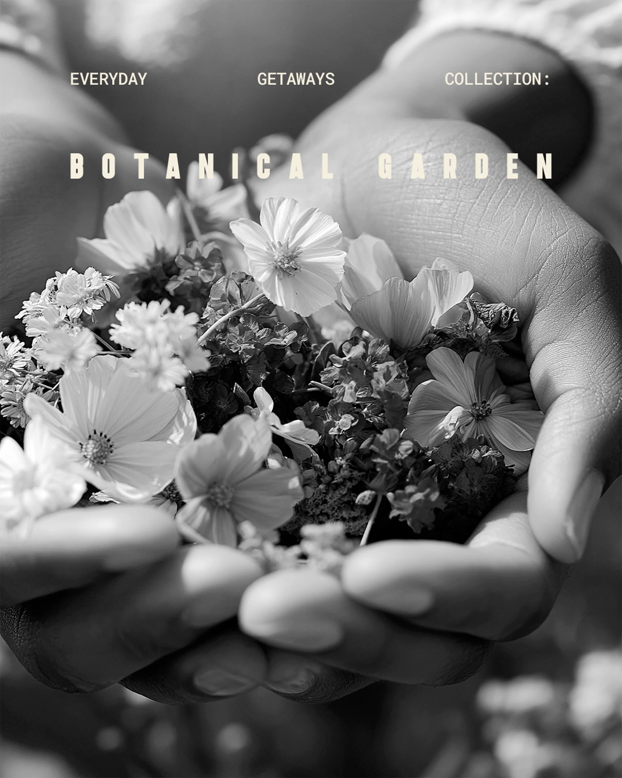 CoveAndLaneStudio_Social_EverydayGetaways_BotanicalGarden_12oz_Intro@2x.jpg