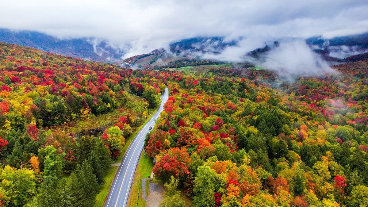 Travel through Fall Foliage