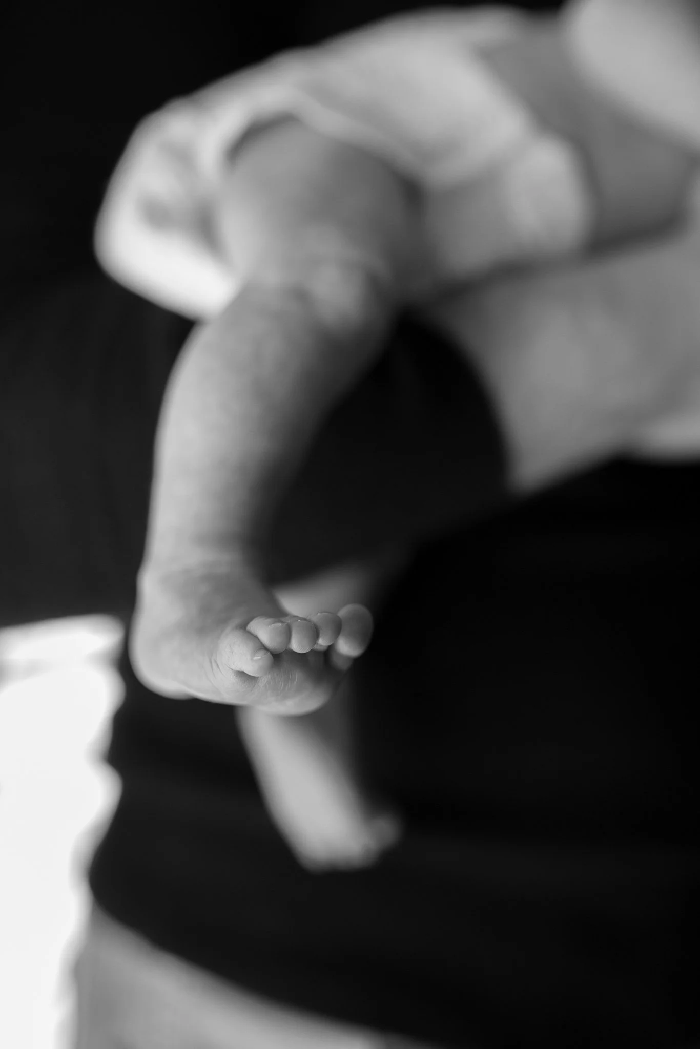 Lily James Newborn _ ANP (14).jpg