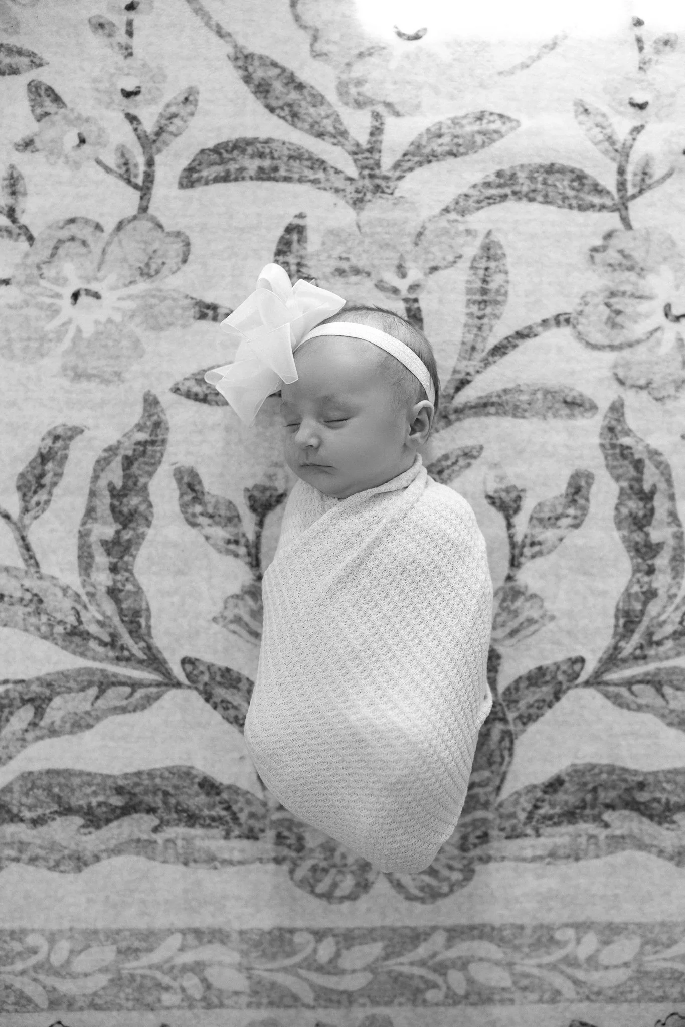 Hazel Newborn 2025 _ANP (86).jpg