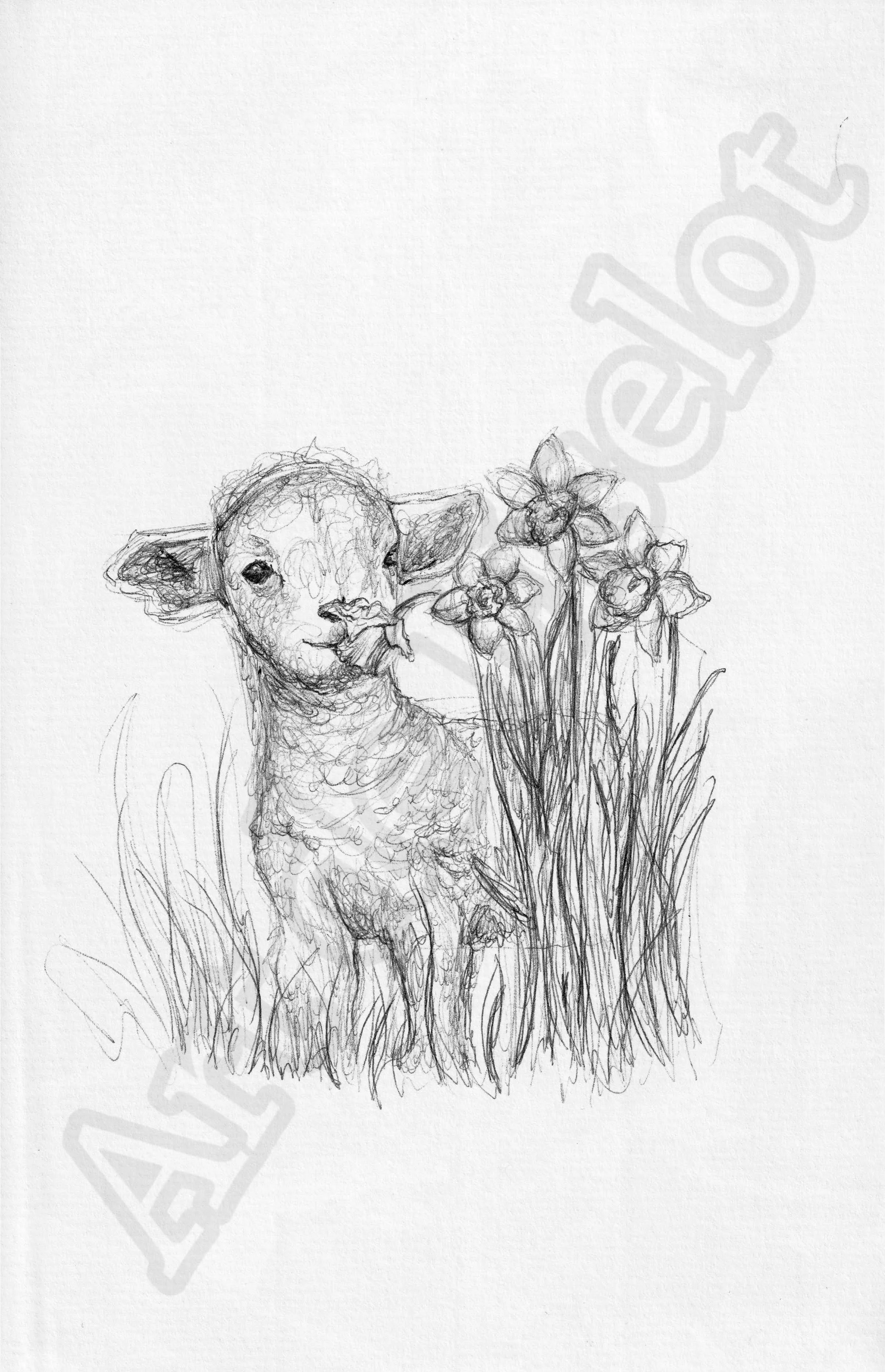 Project (20260303094055).jpg