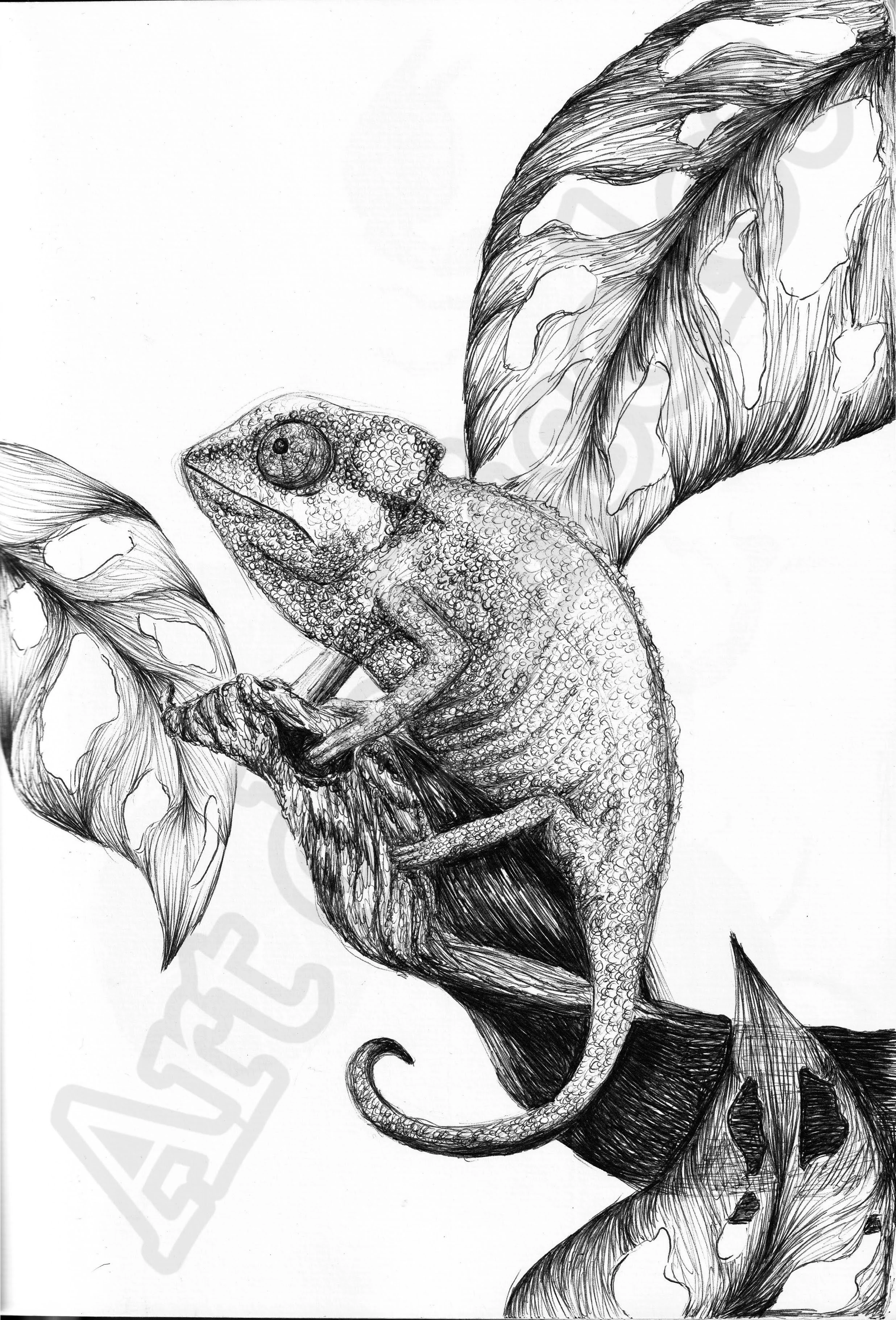 Project (20260304084748).jpg