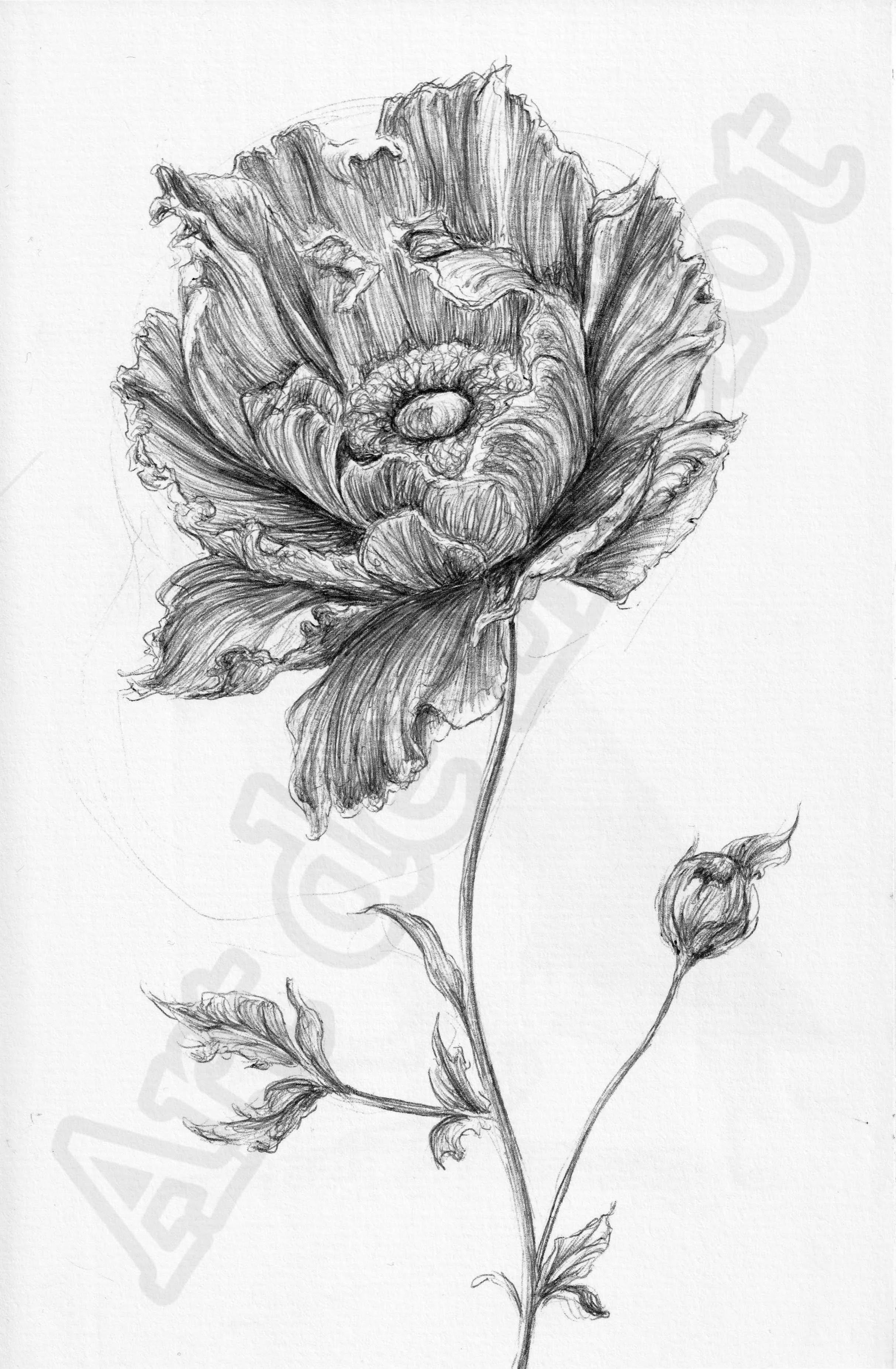 Project (20260303092627).jpg