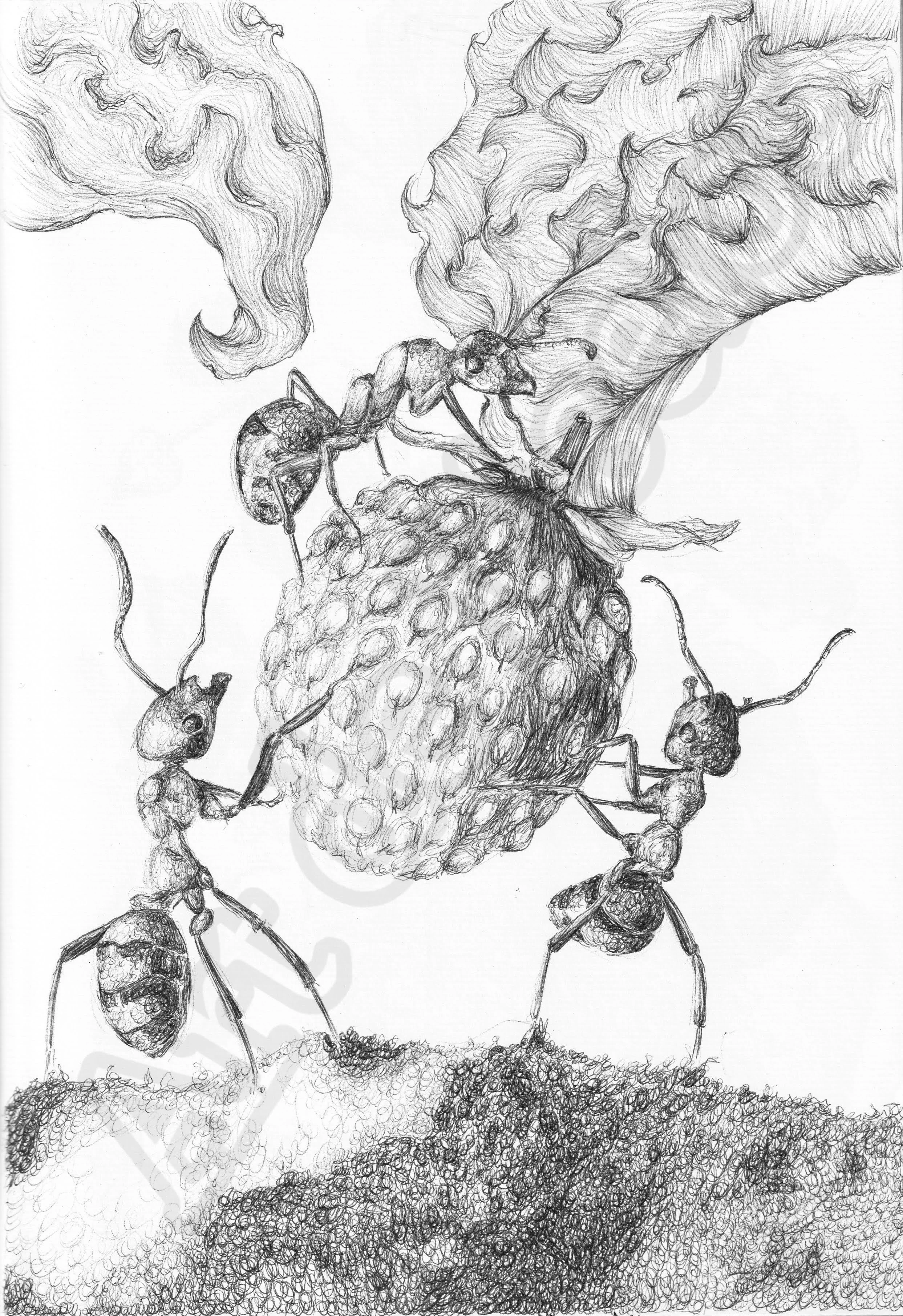 Project (20260304084501).jpg