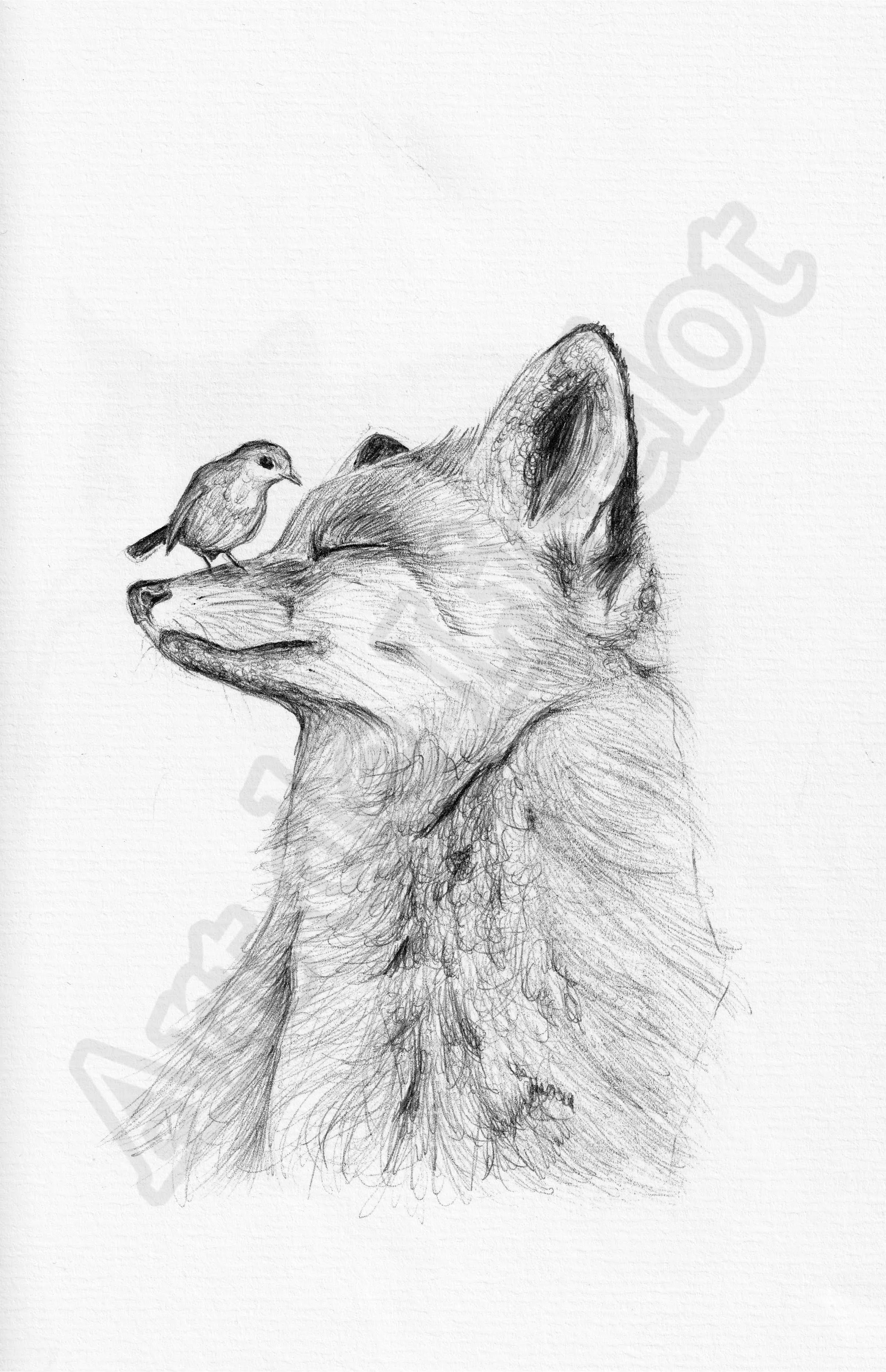 Project (20260303091209).jpg