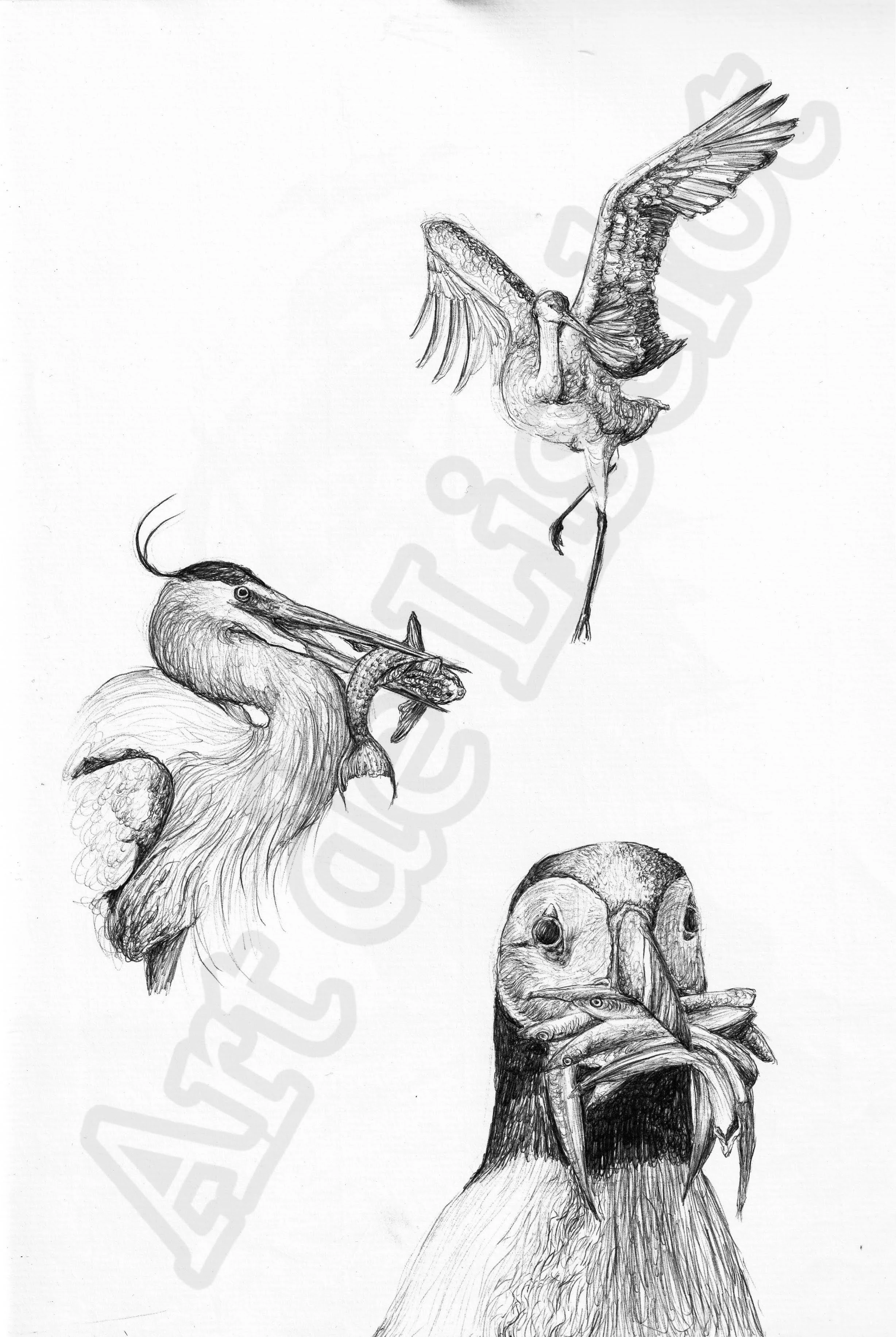 Project (20260304084327).jpg