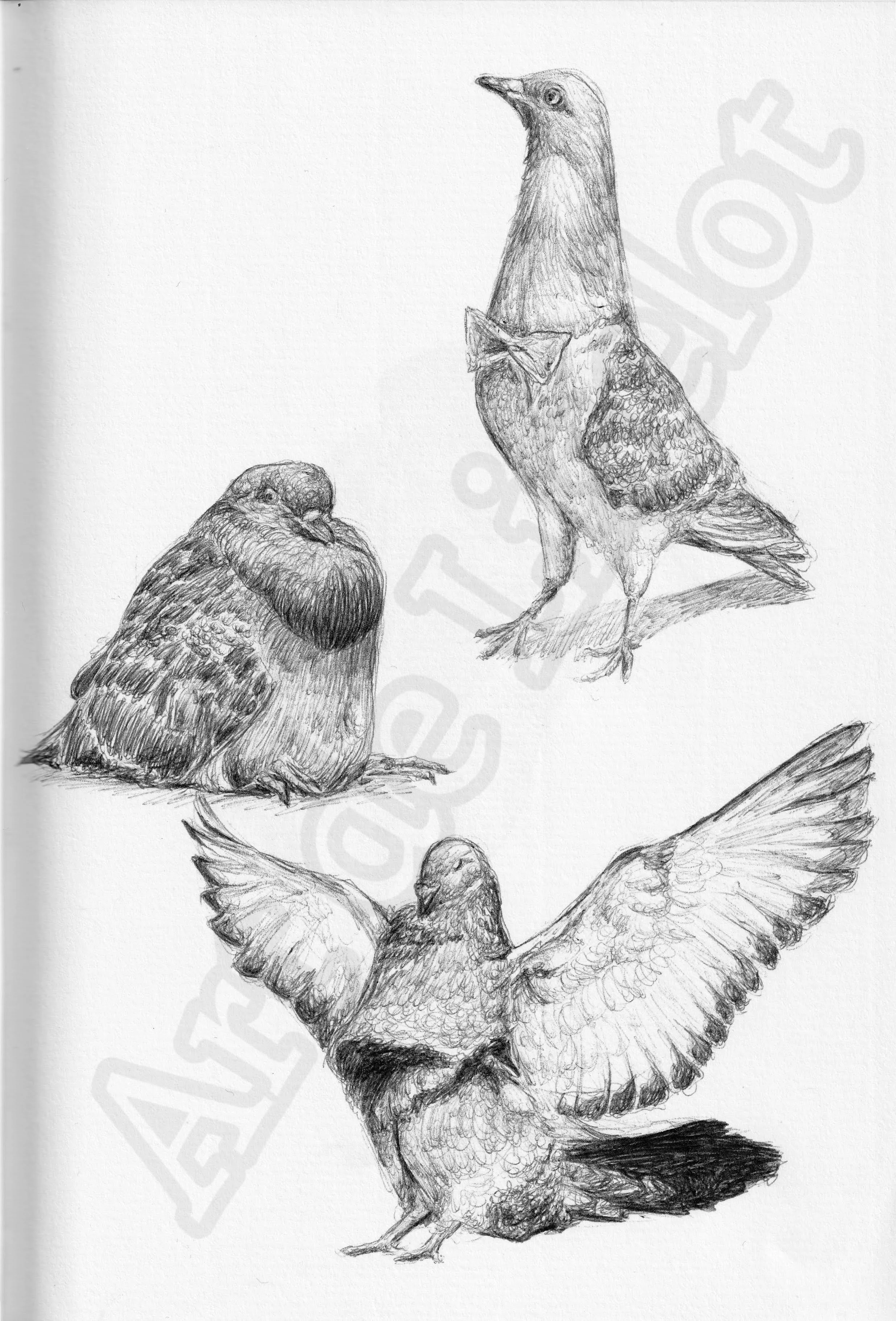 Project (20260303093759).jpg