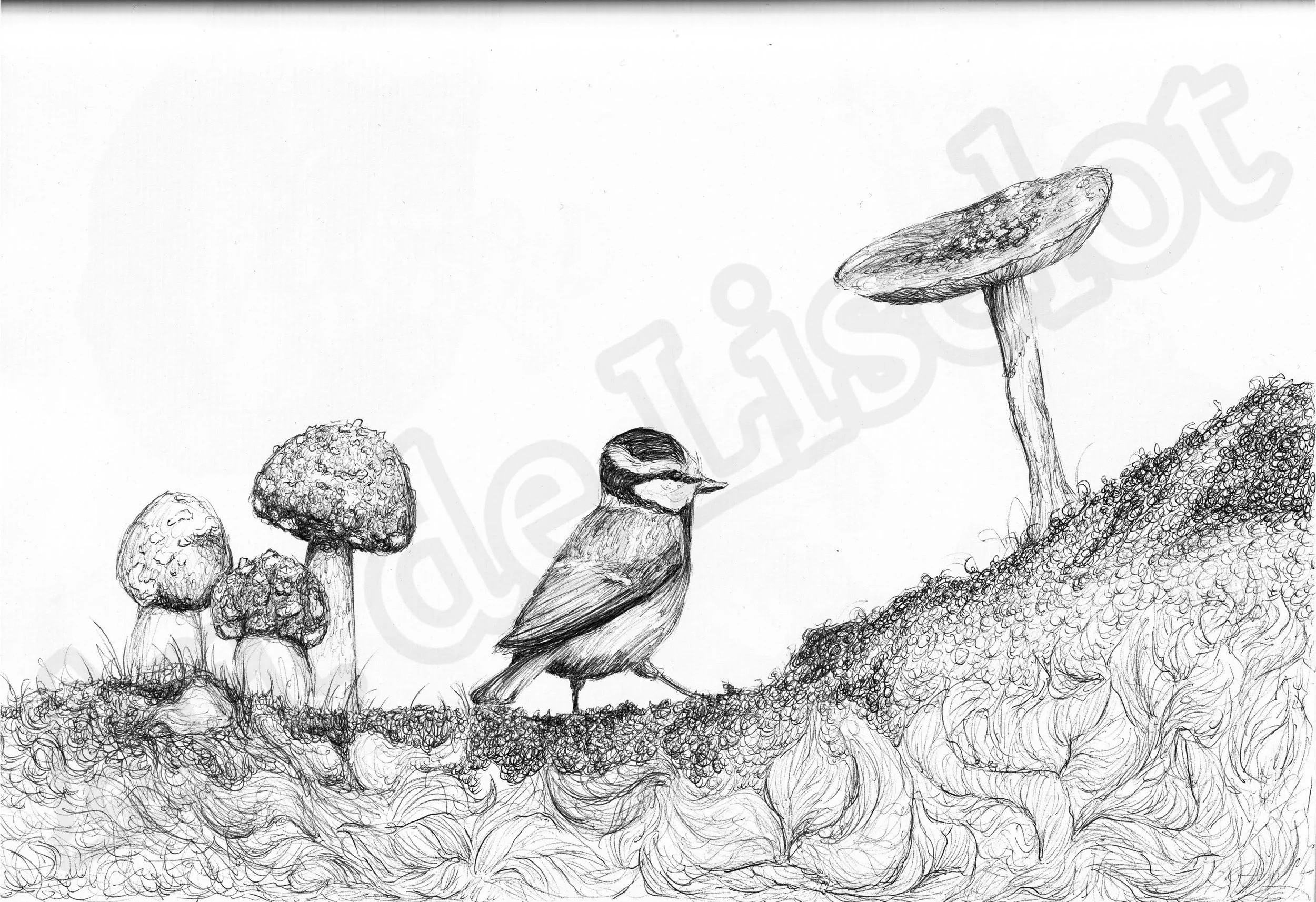 Project (20260304083401).jpg