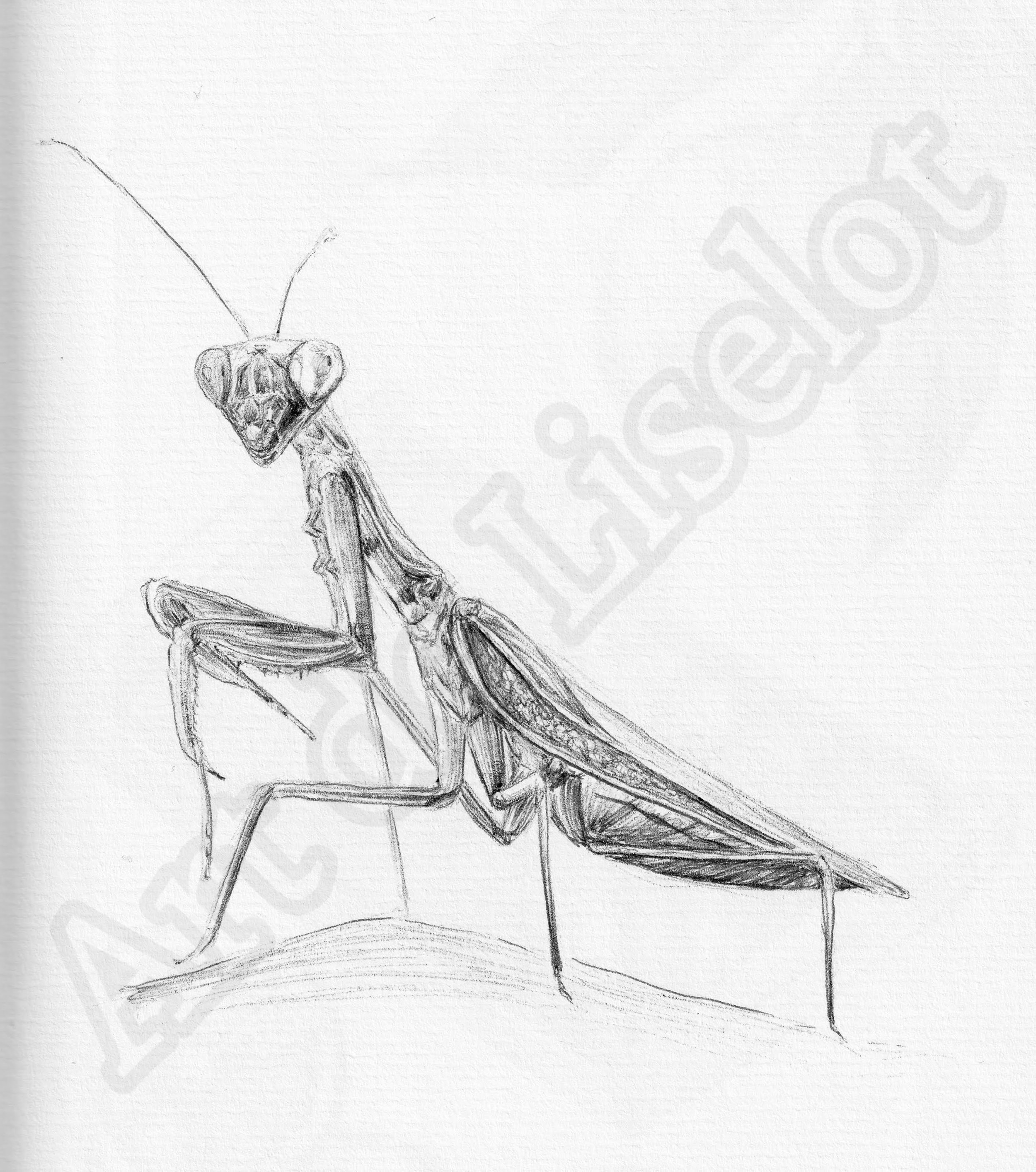 Project (20260303093052).jpg