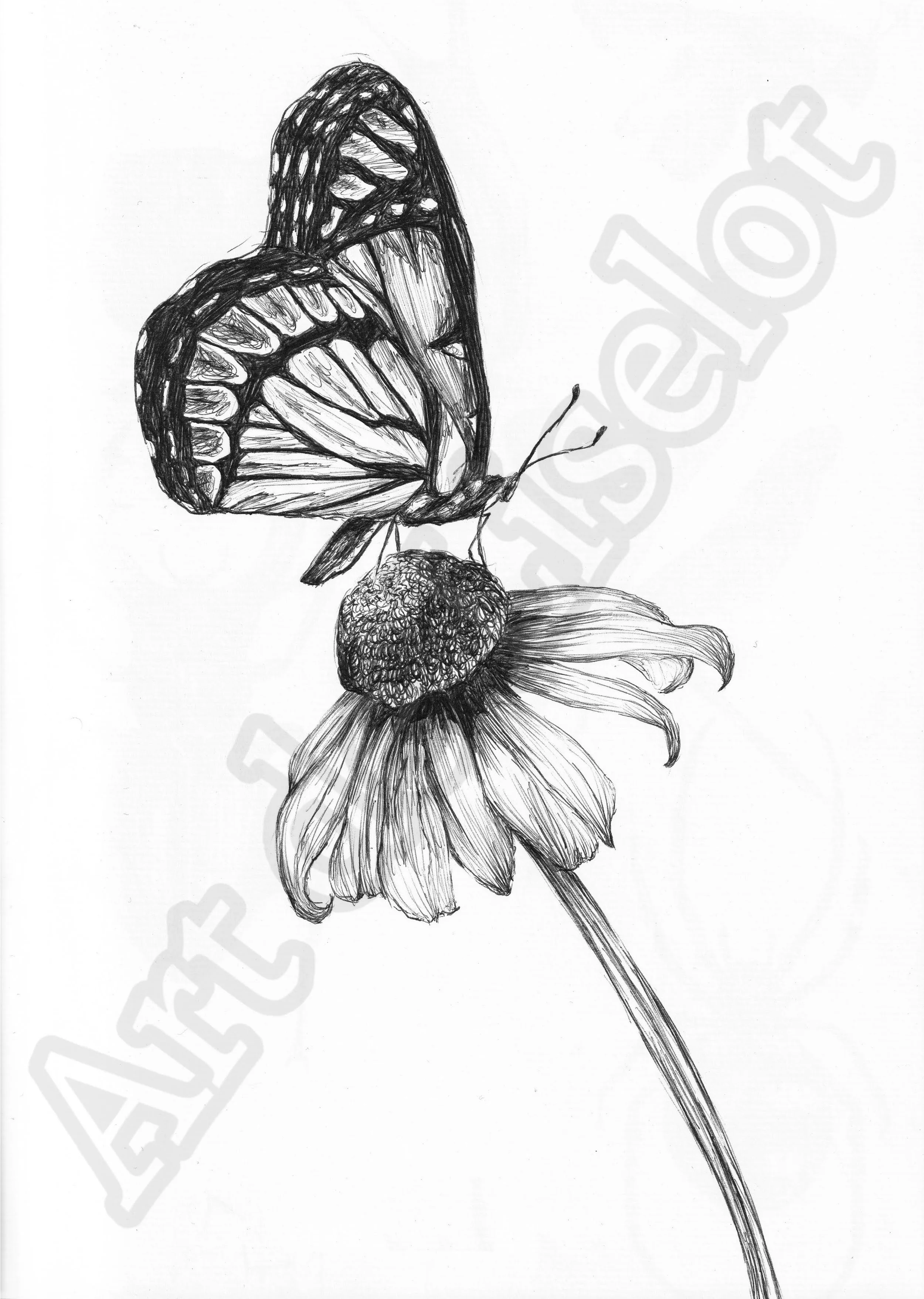 Project (20260304085109).jpg