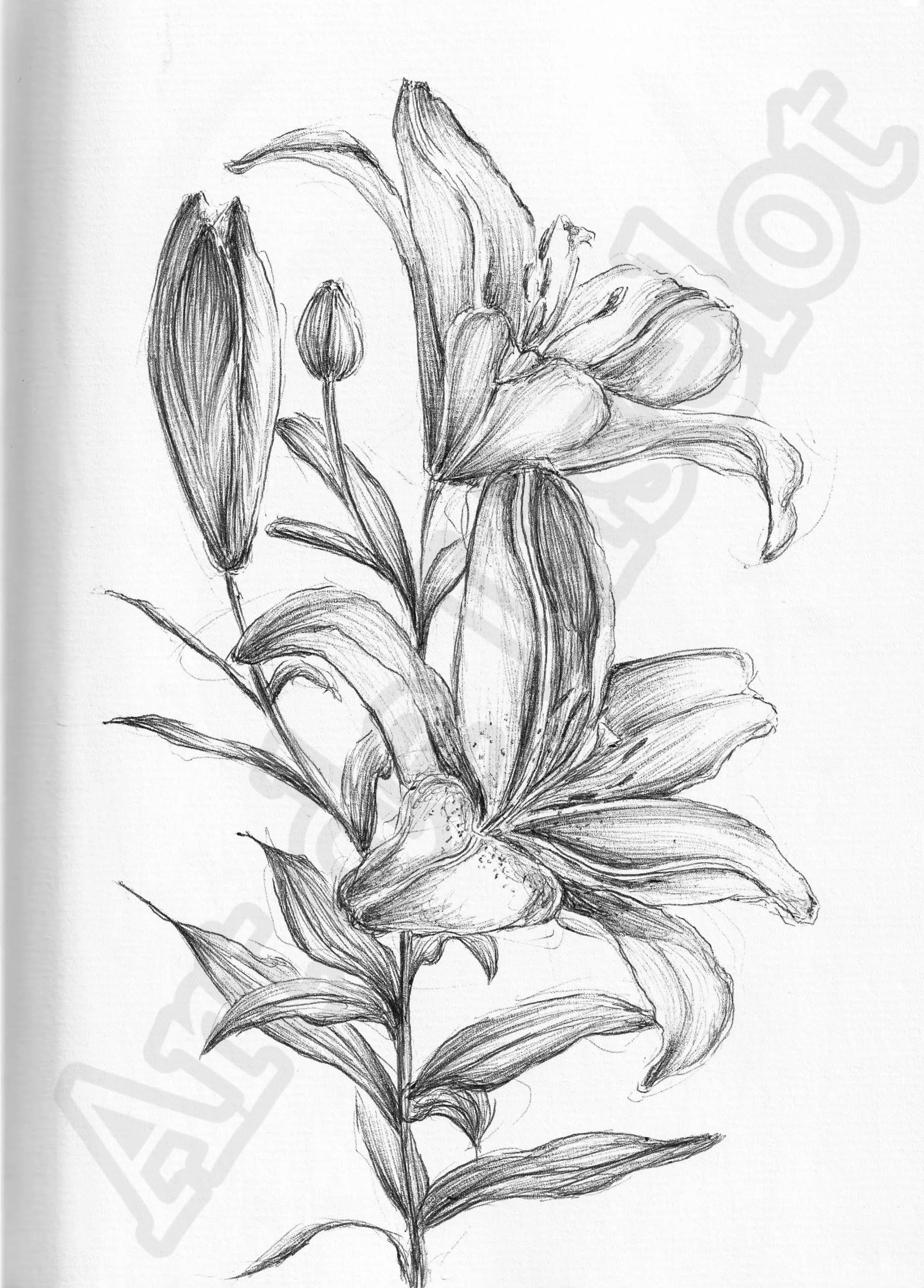 Project (20260304085449).jpg