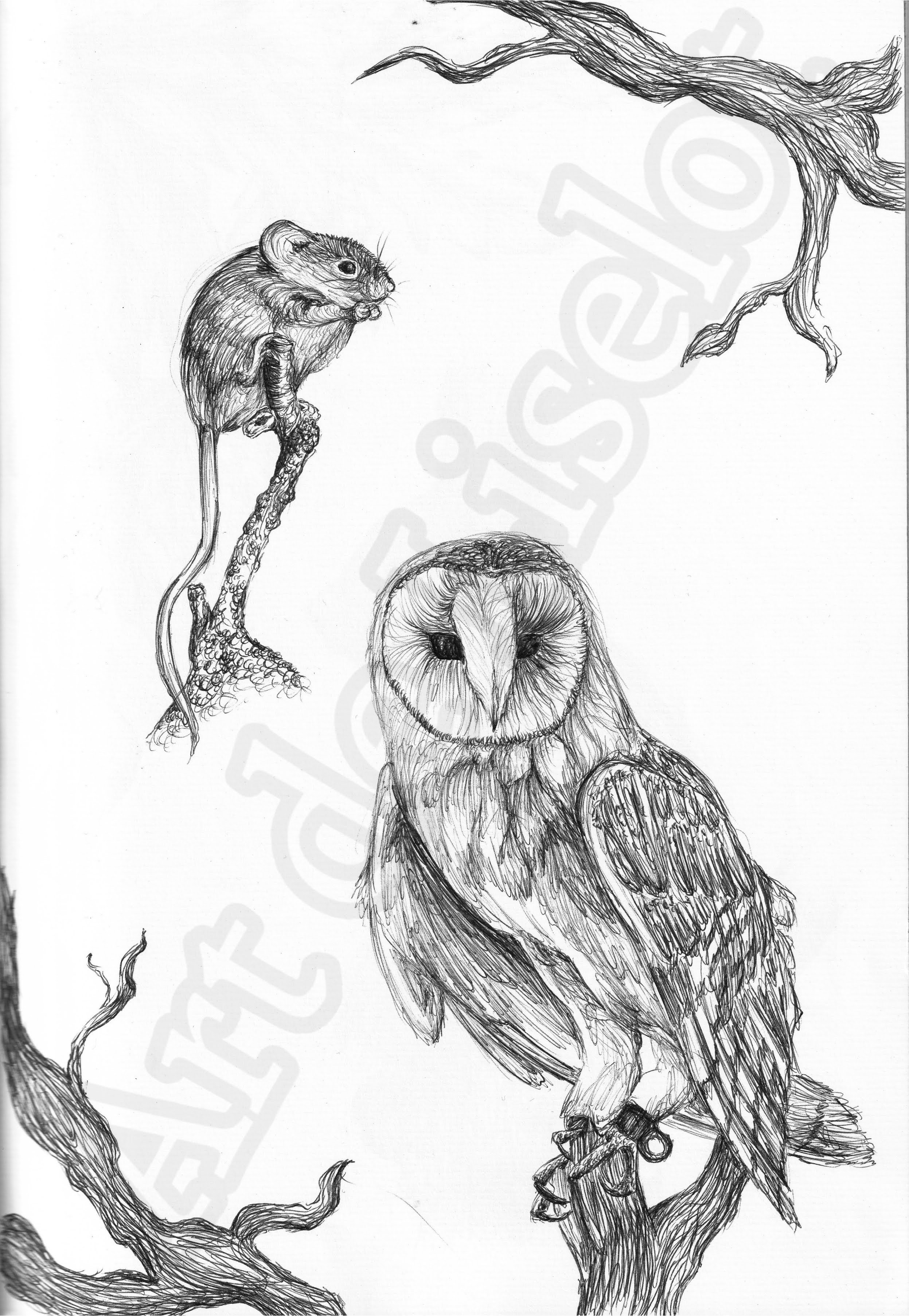 Project (20260304084840).jpg