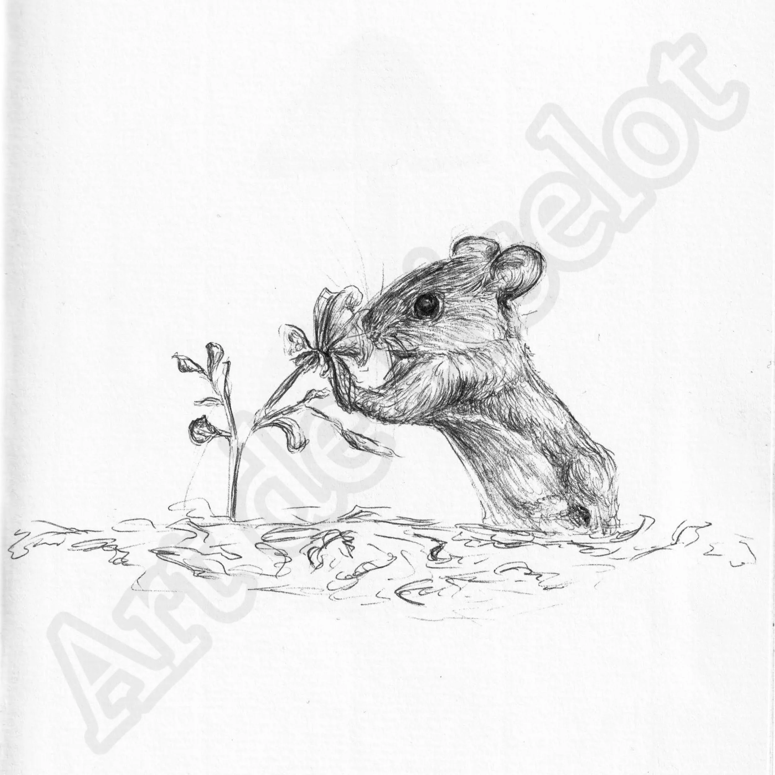 Project (20260304084147).jpg