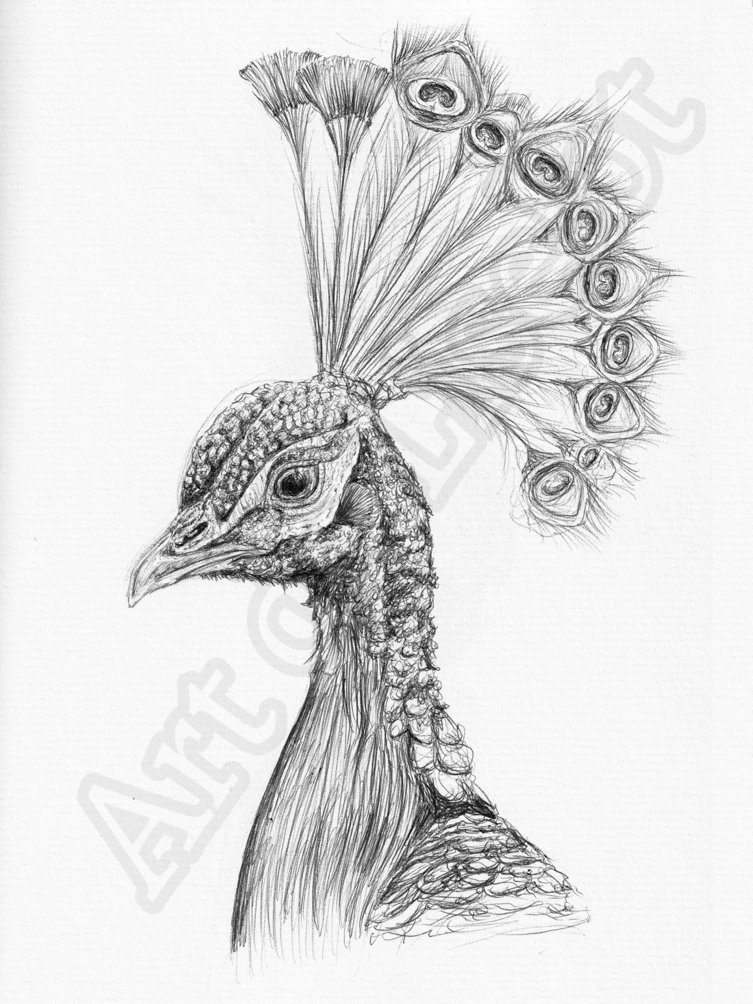 Project (20260304084114).jpg