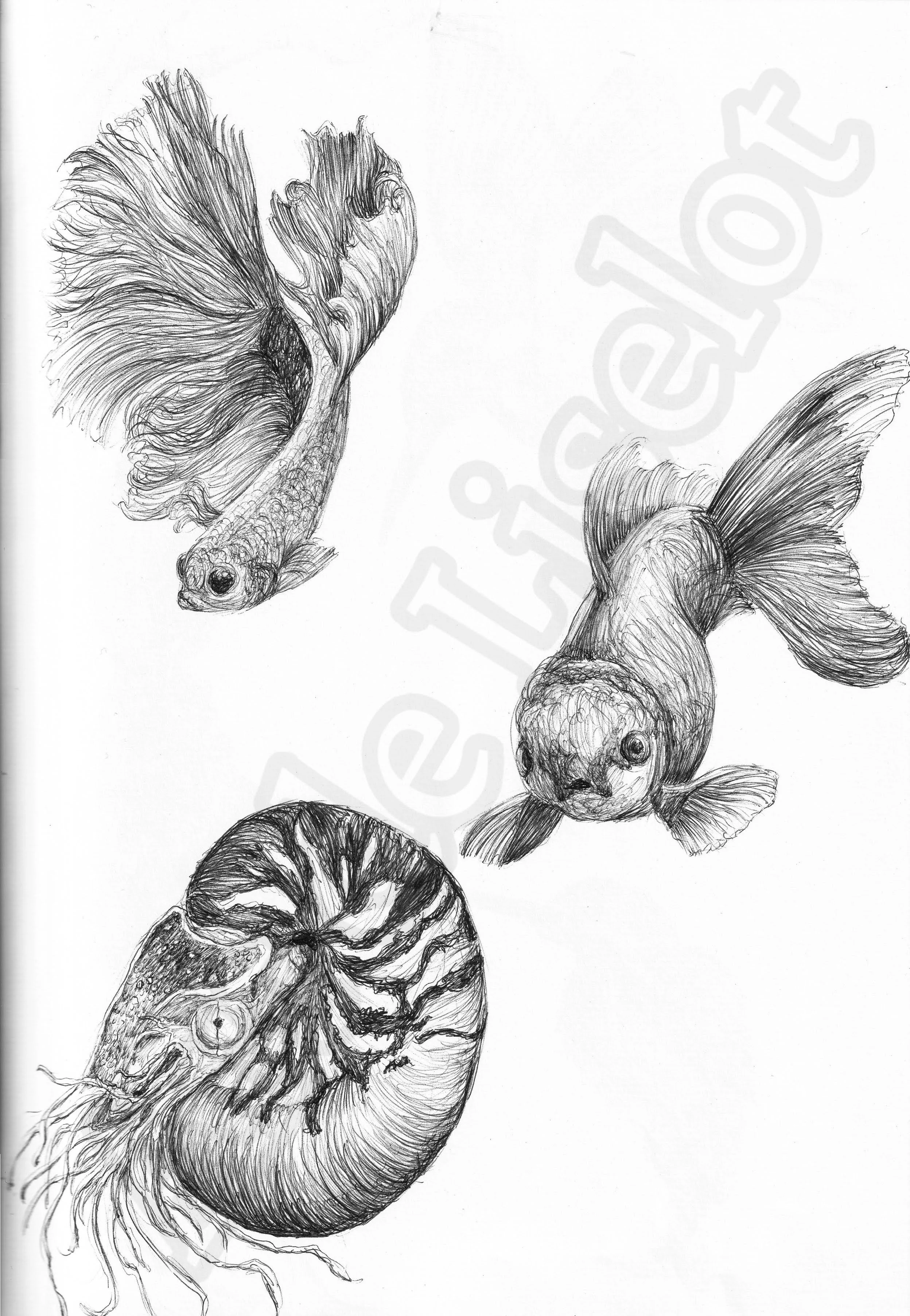 Project (20260304084648).jpg