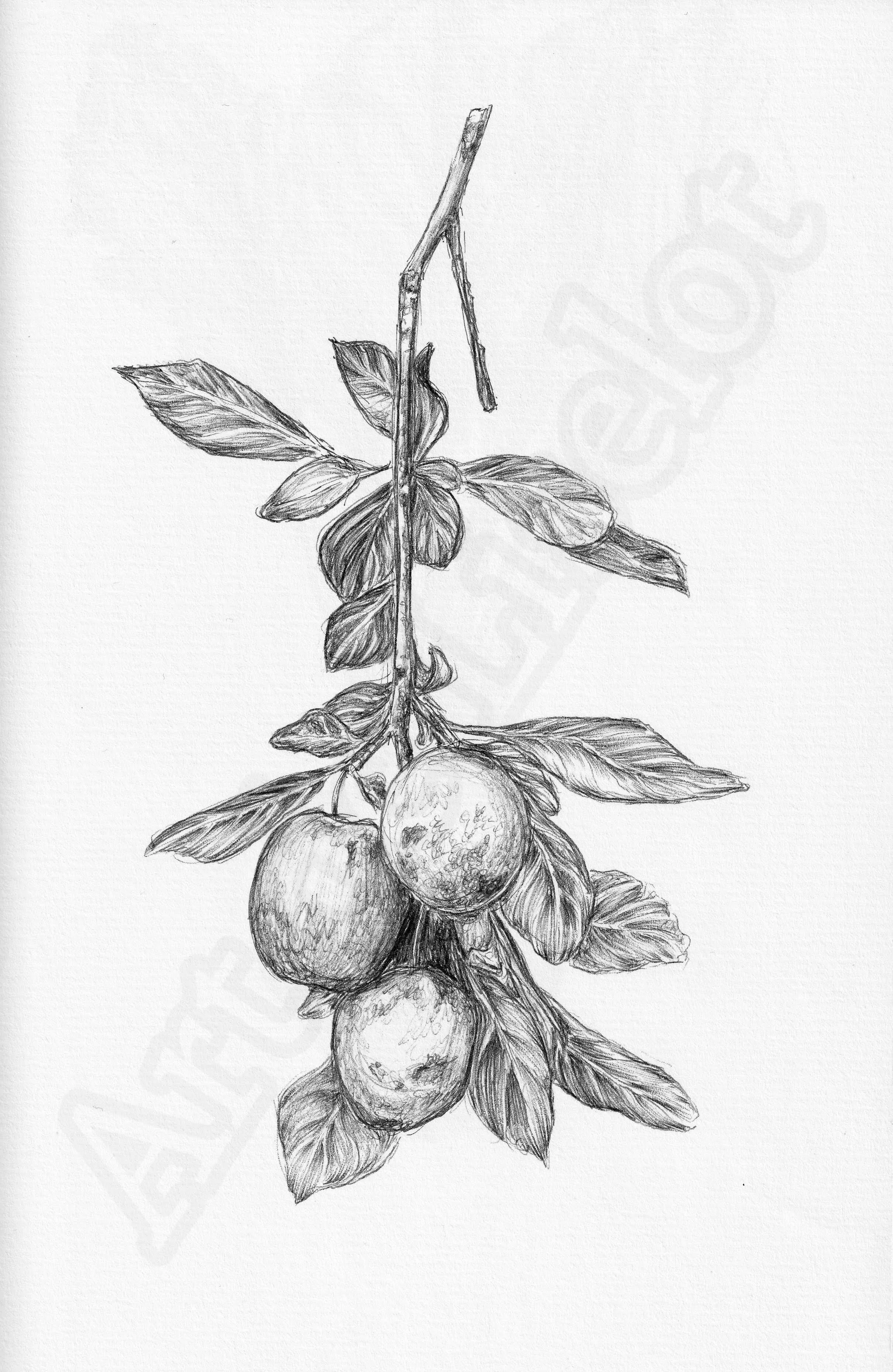 Project (20260303091624).jpg