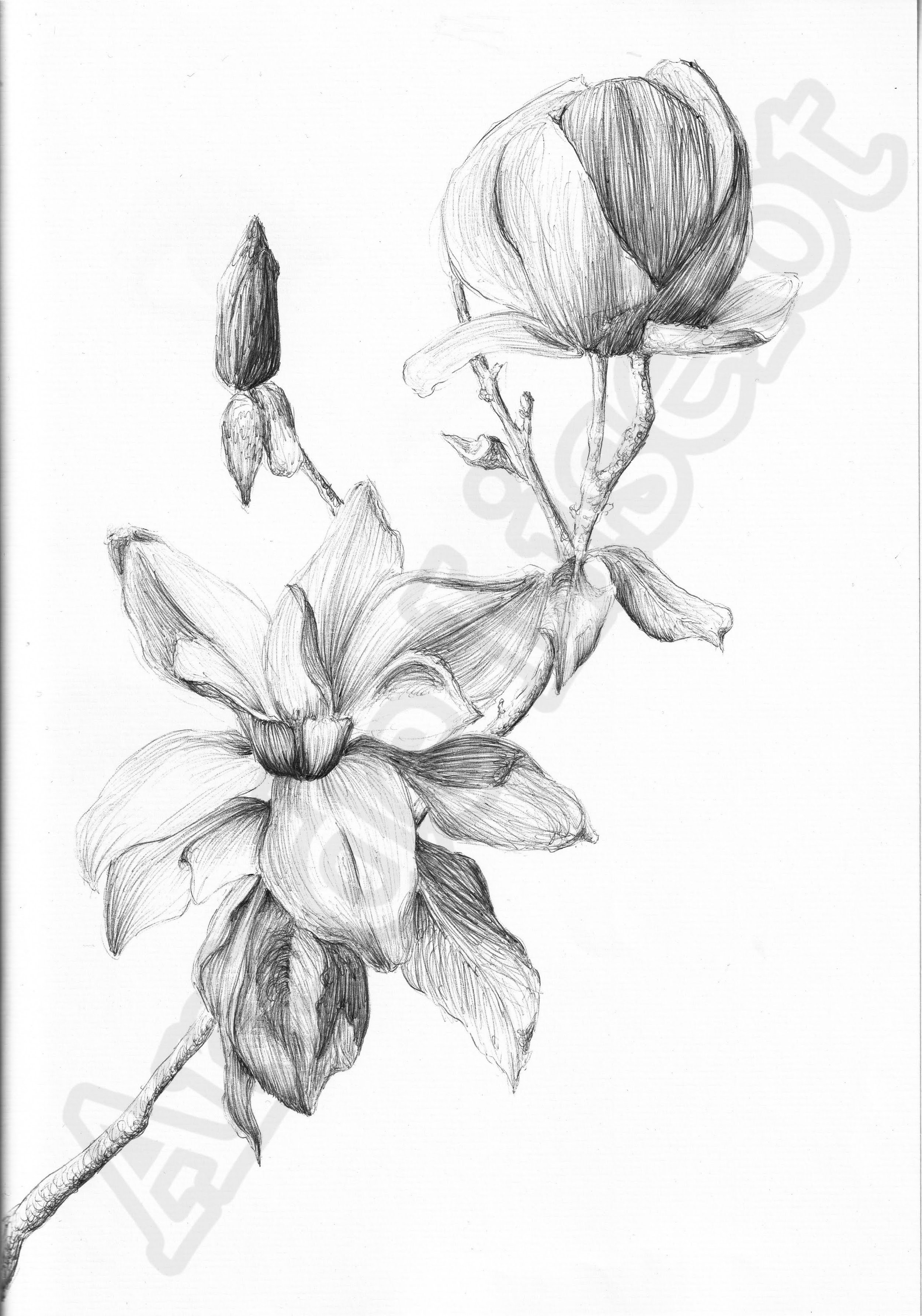 Project (20260304083133).jpg