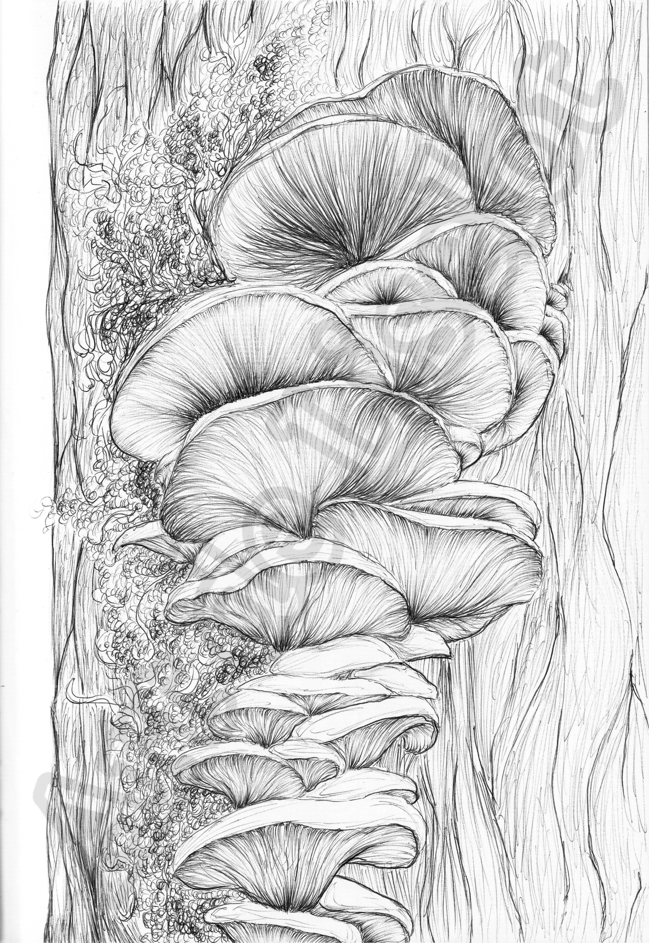 Project (20260304084937).jpg